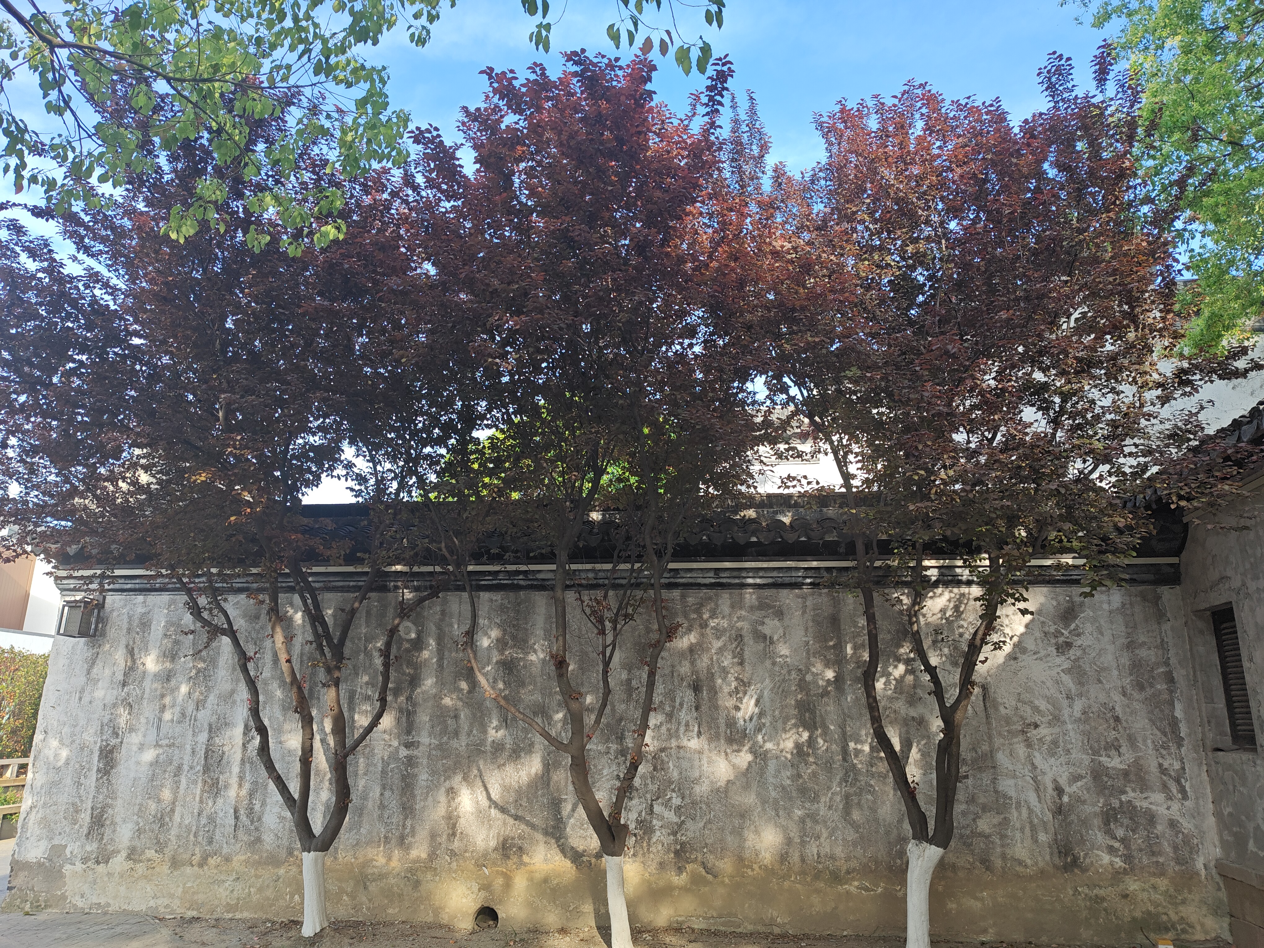 P20250420-164814