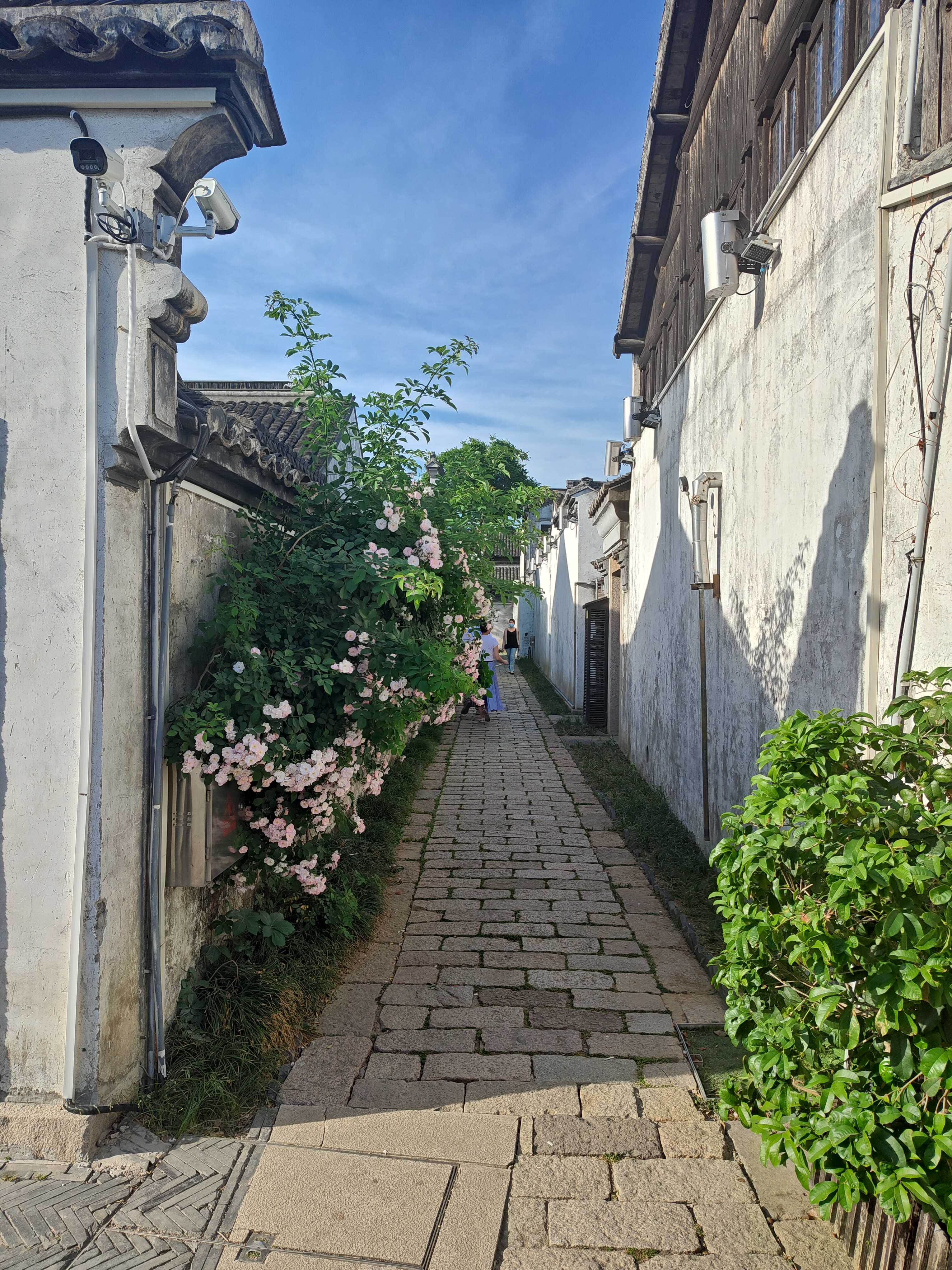 P20250420-162522