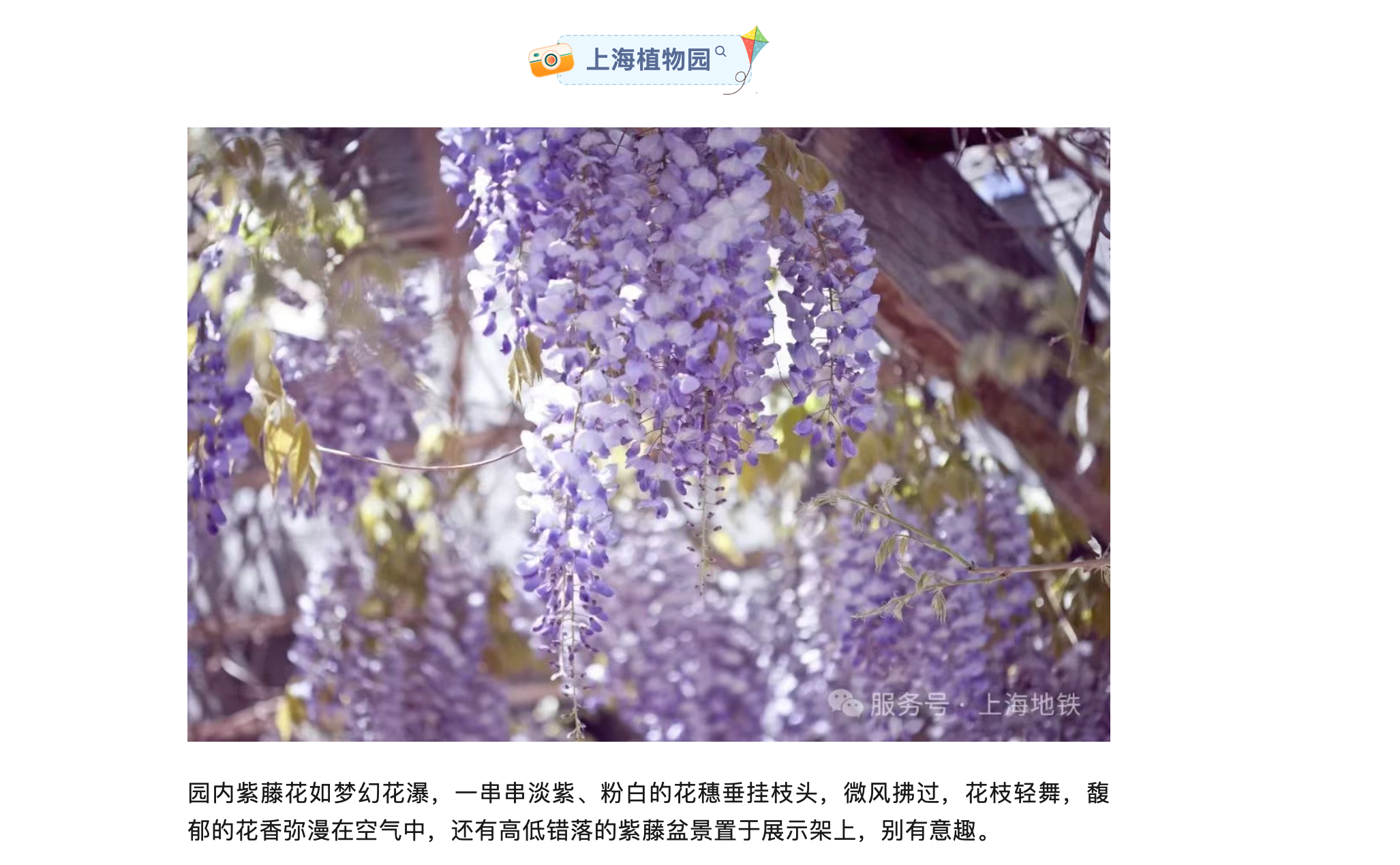 image-20250427200937234