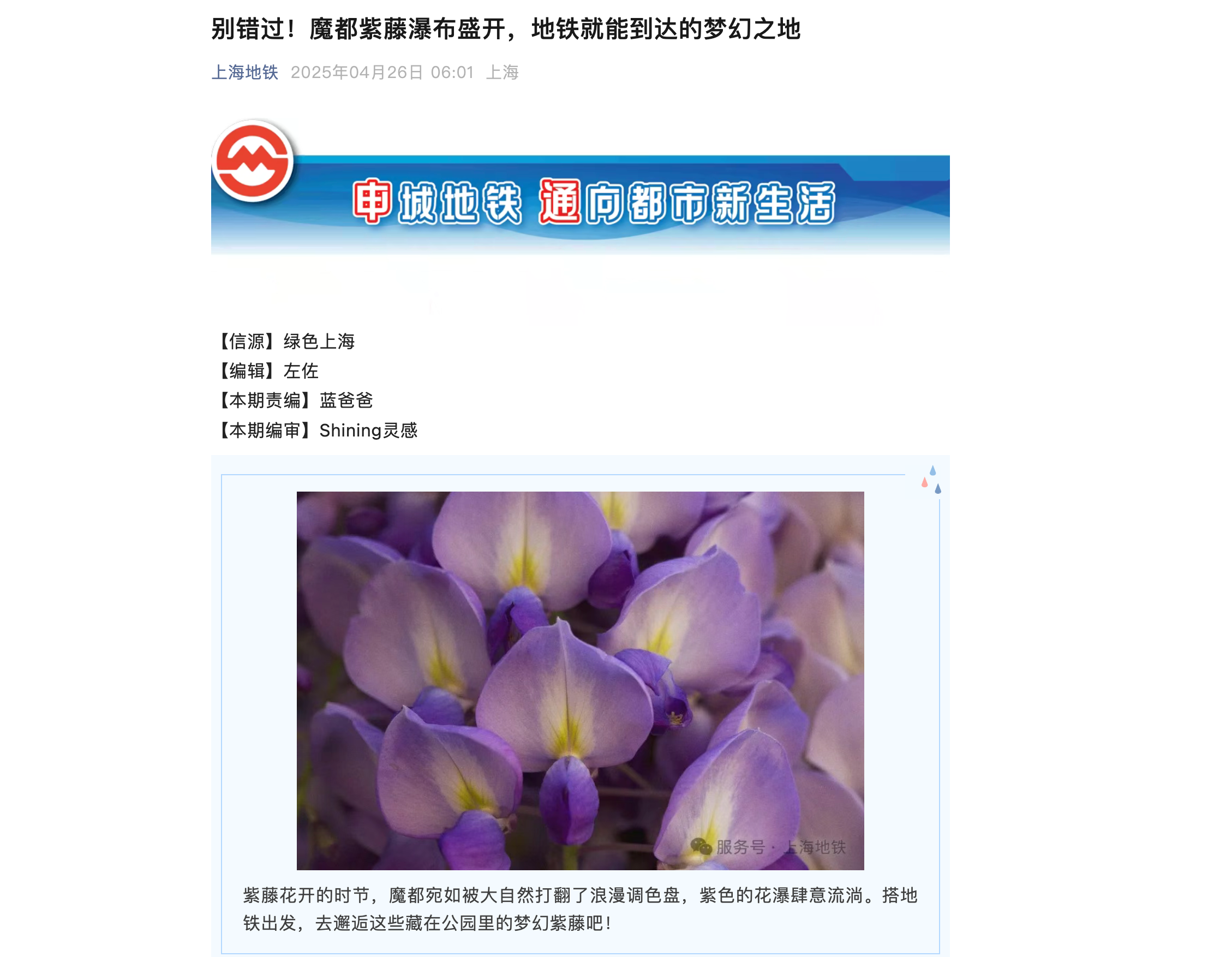 image-20250427200920670