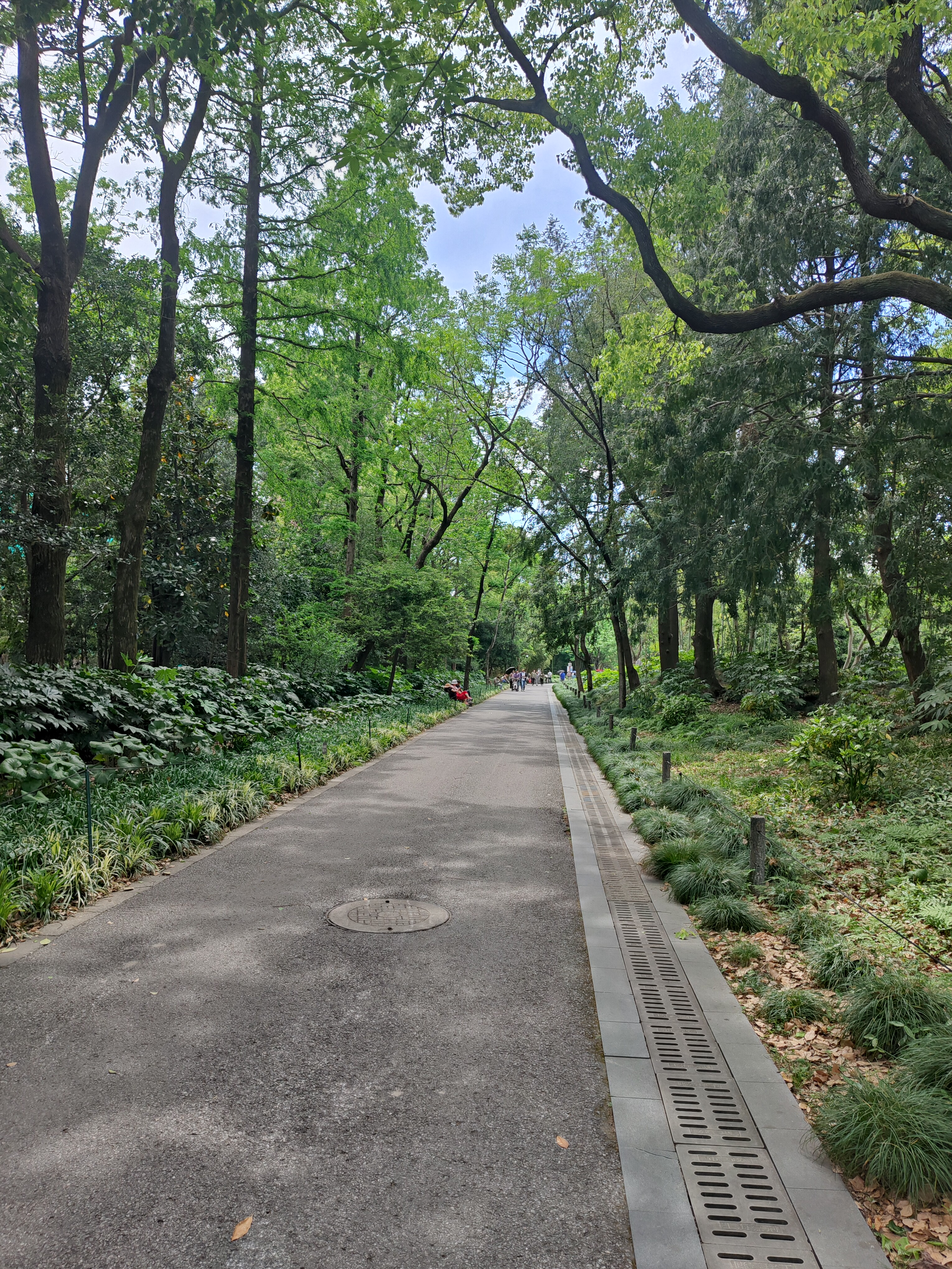 P20250426-133027