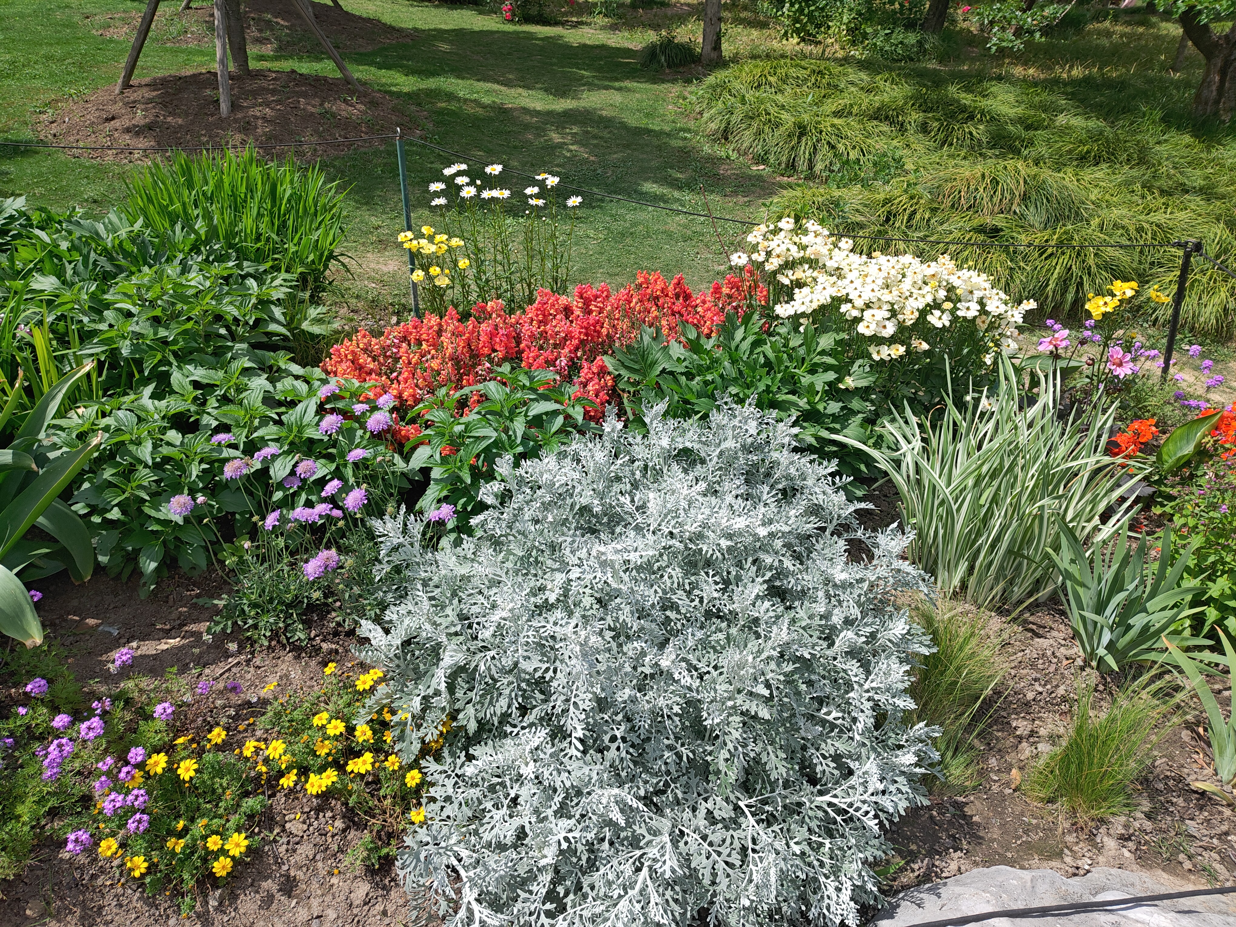 P20250426-133715