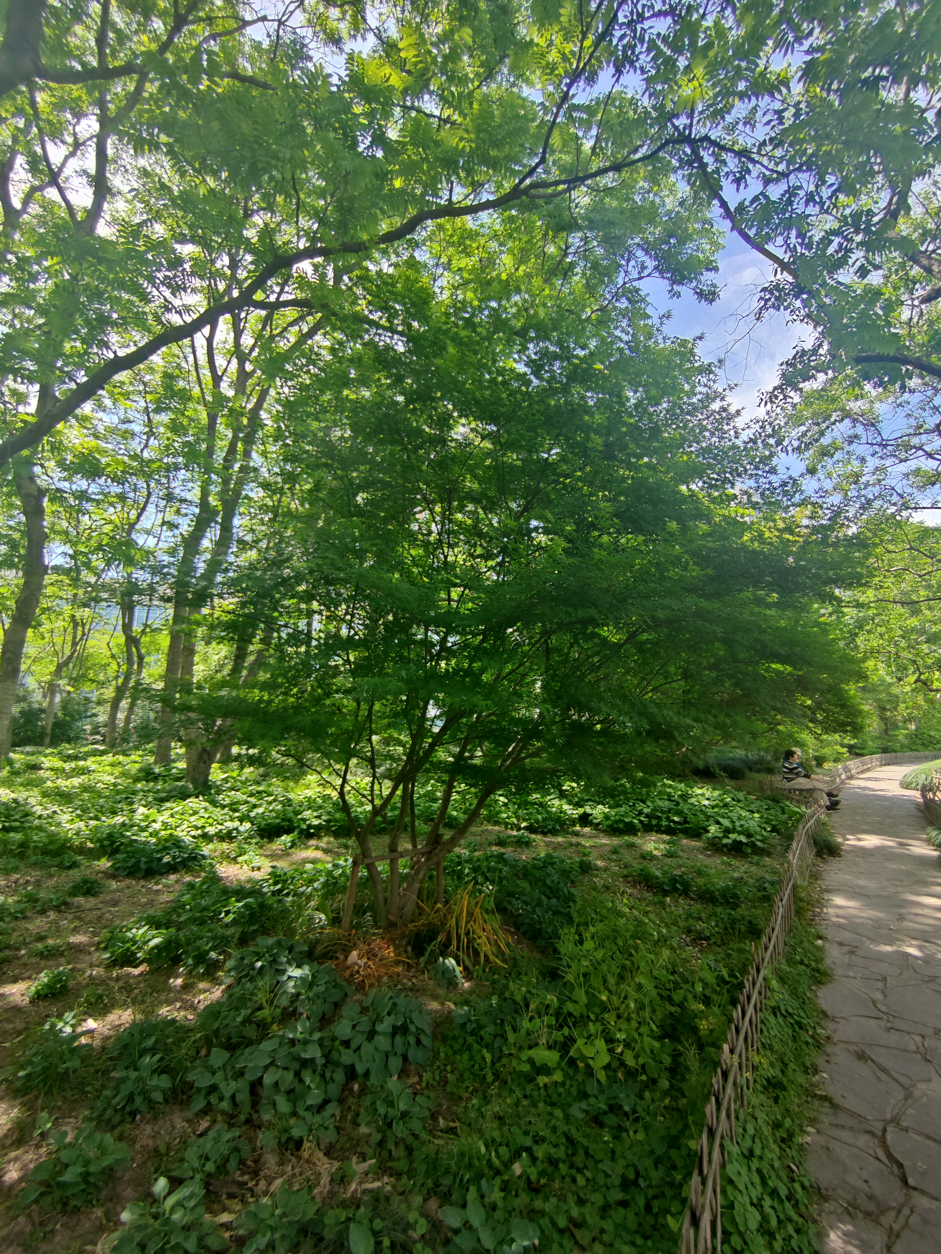 P20250426-134550