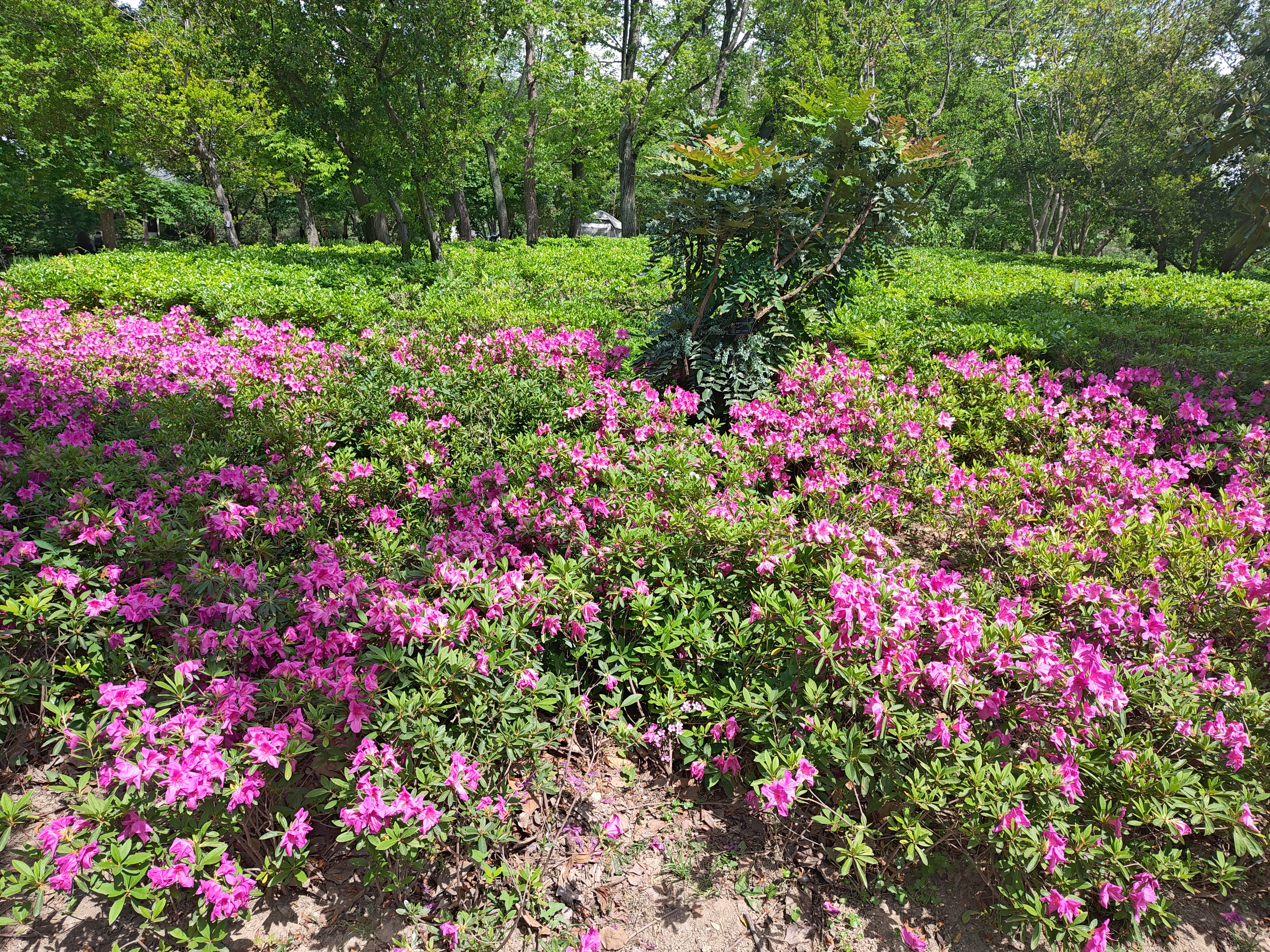 P20250426-135014