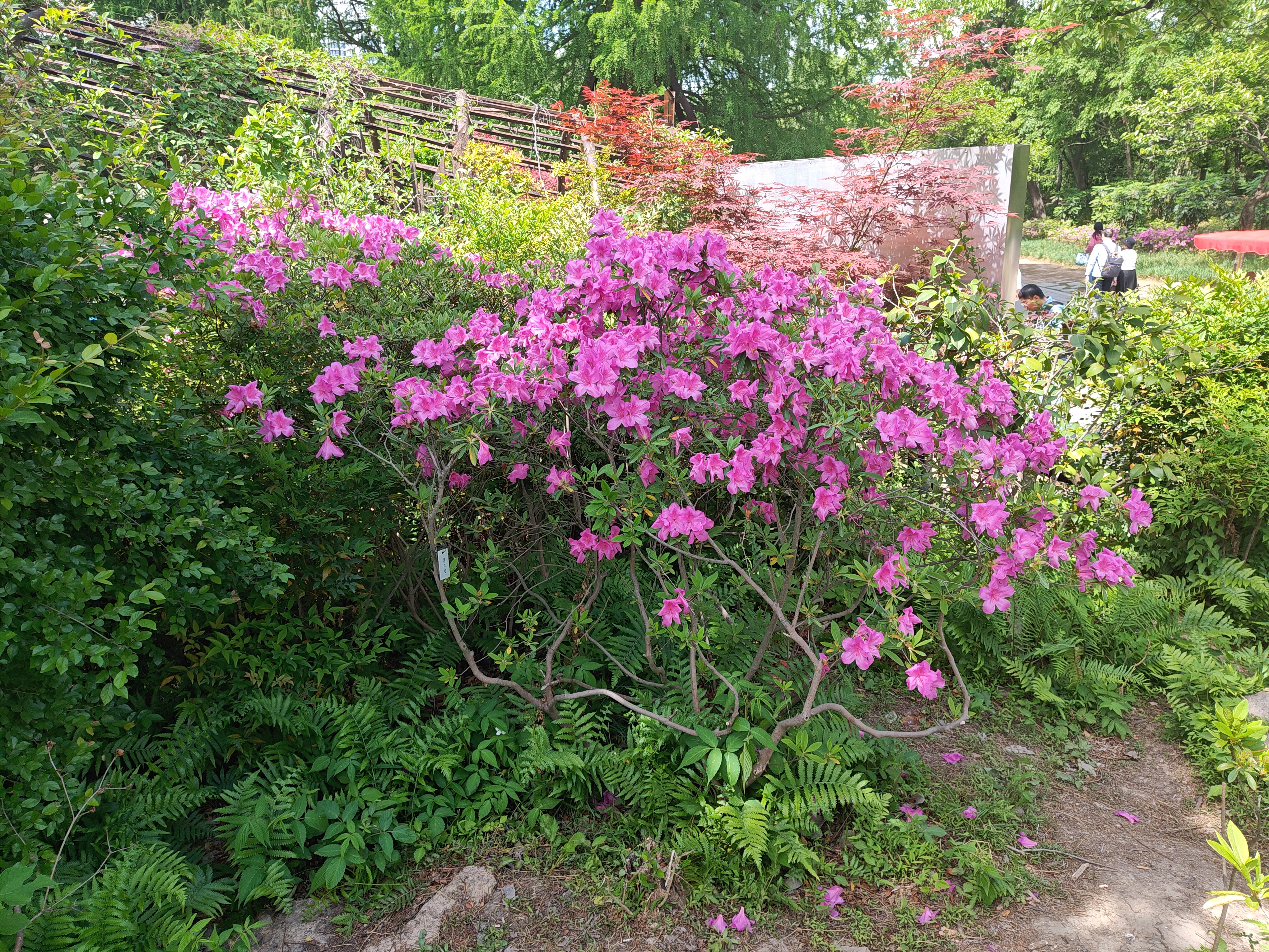P20250426-135054