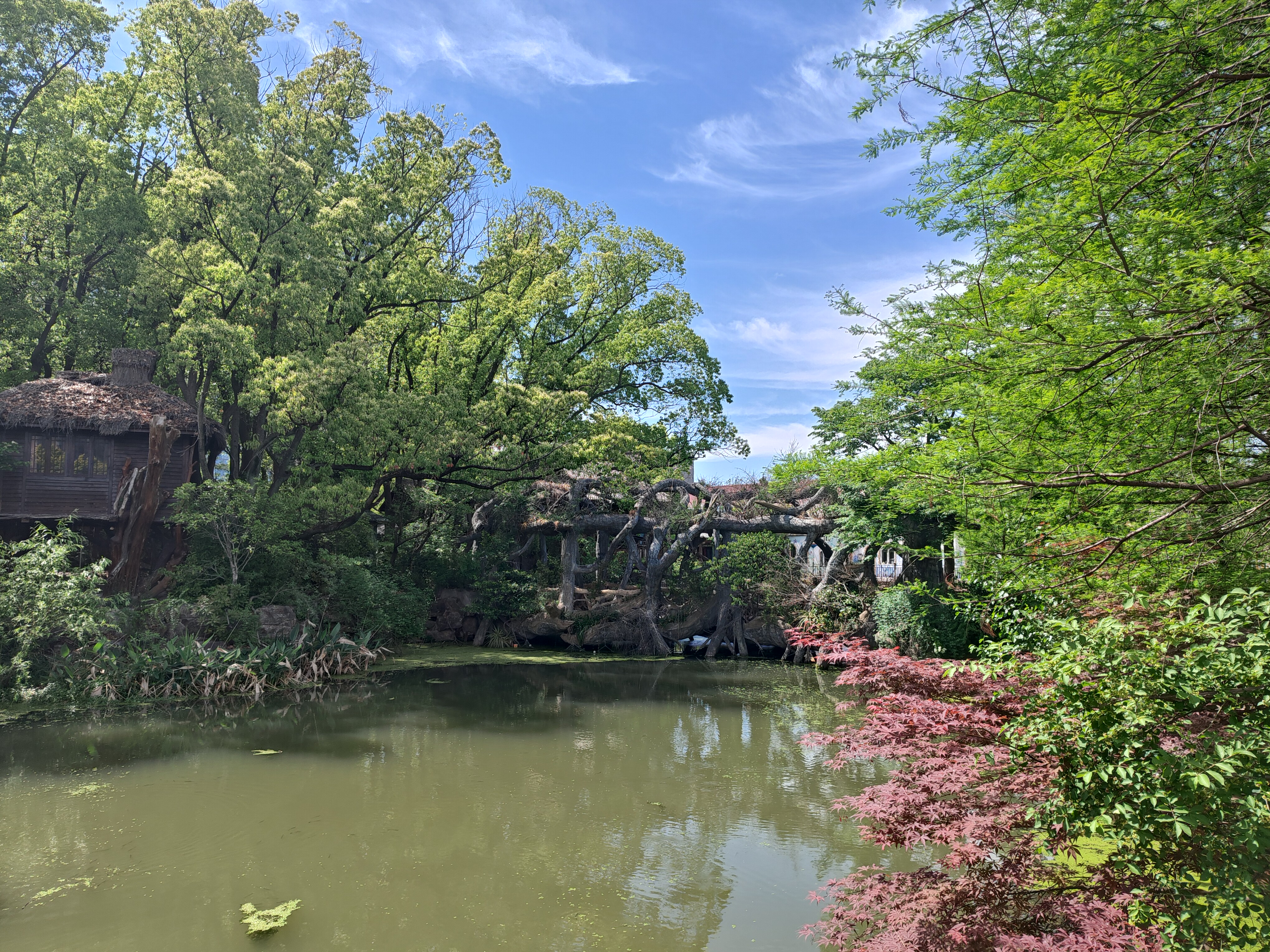 P20250426-134915