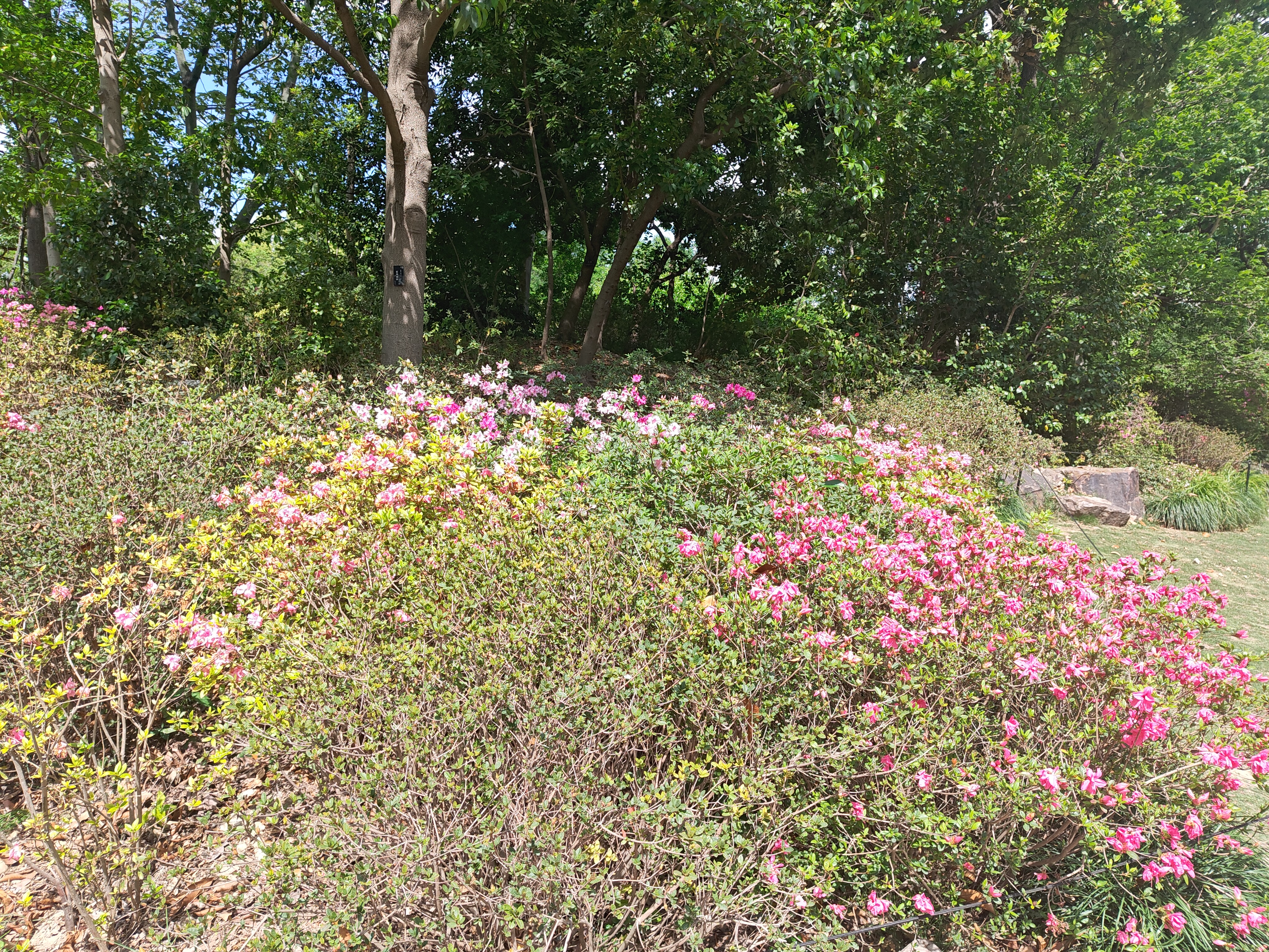 P20250426-135245