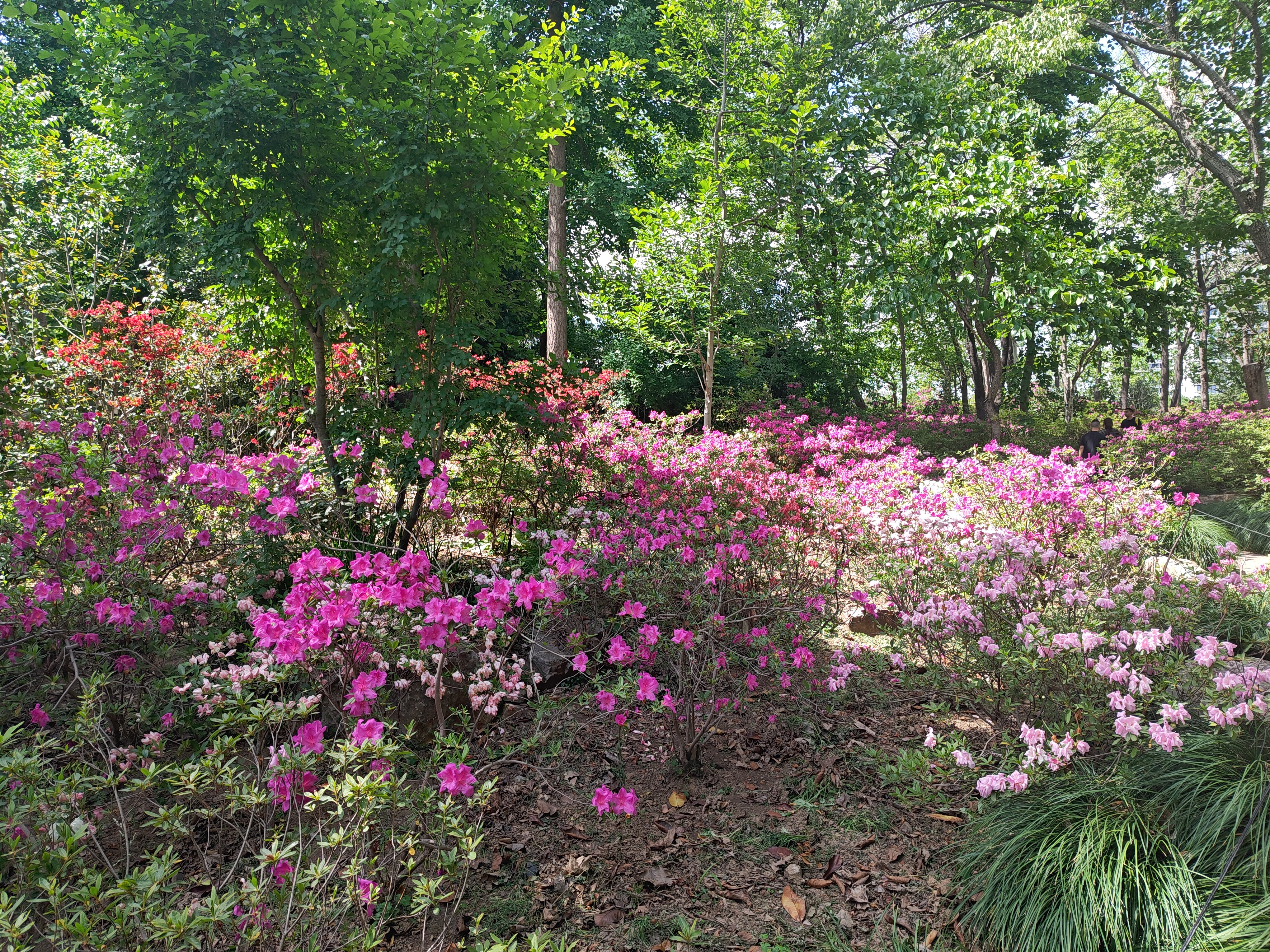 P20250426-135258