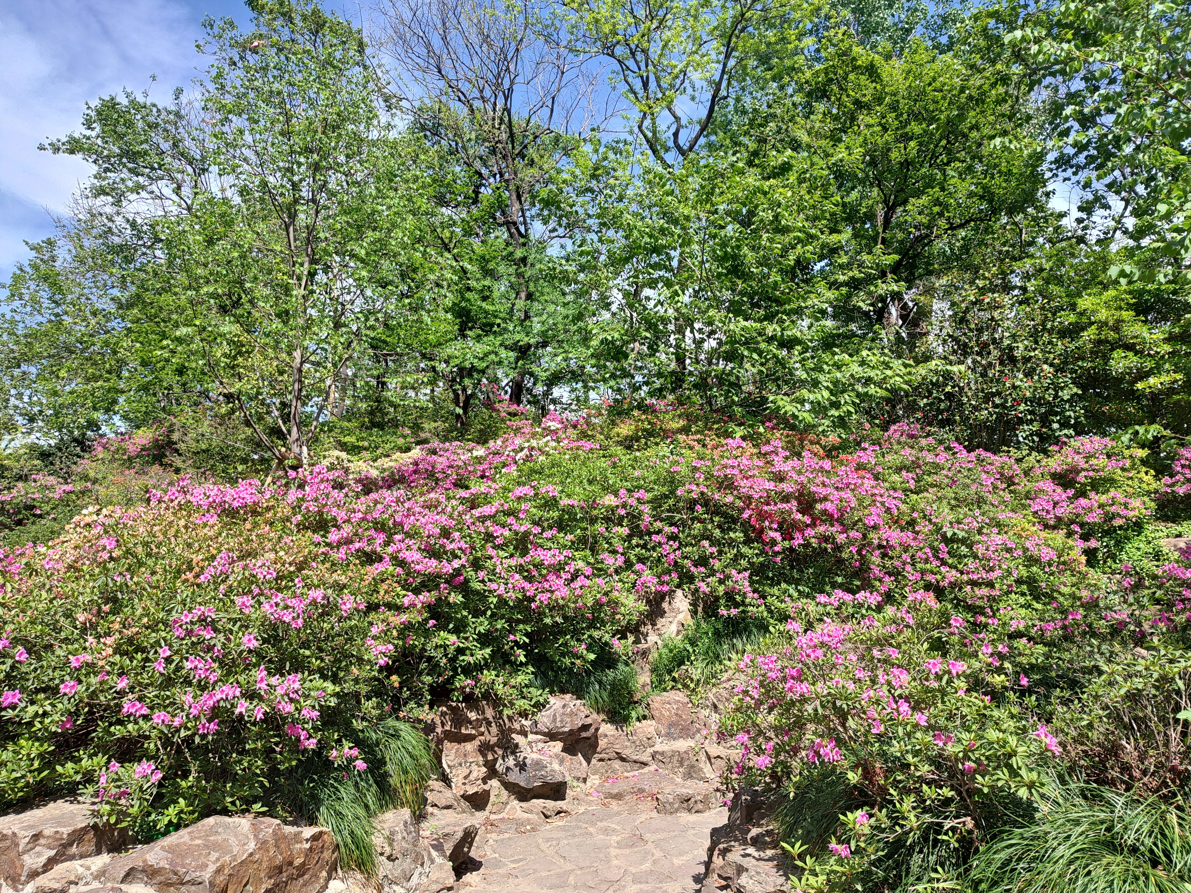 P20250426-135614
