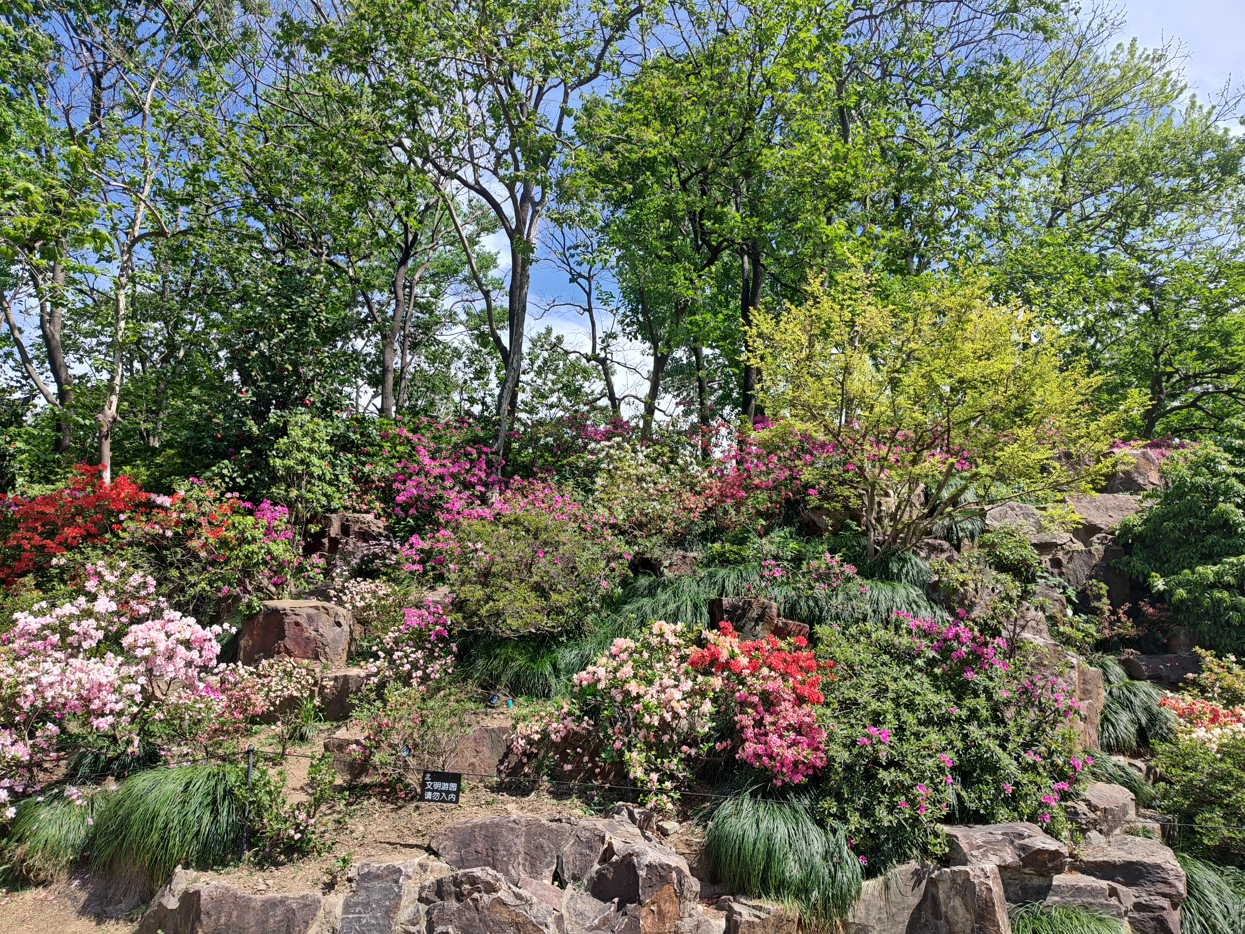 P20250426-135920