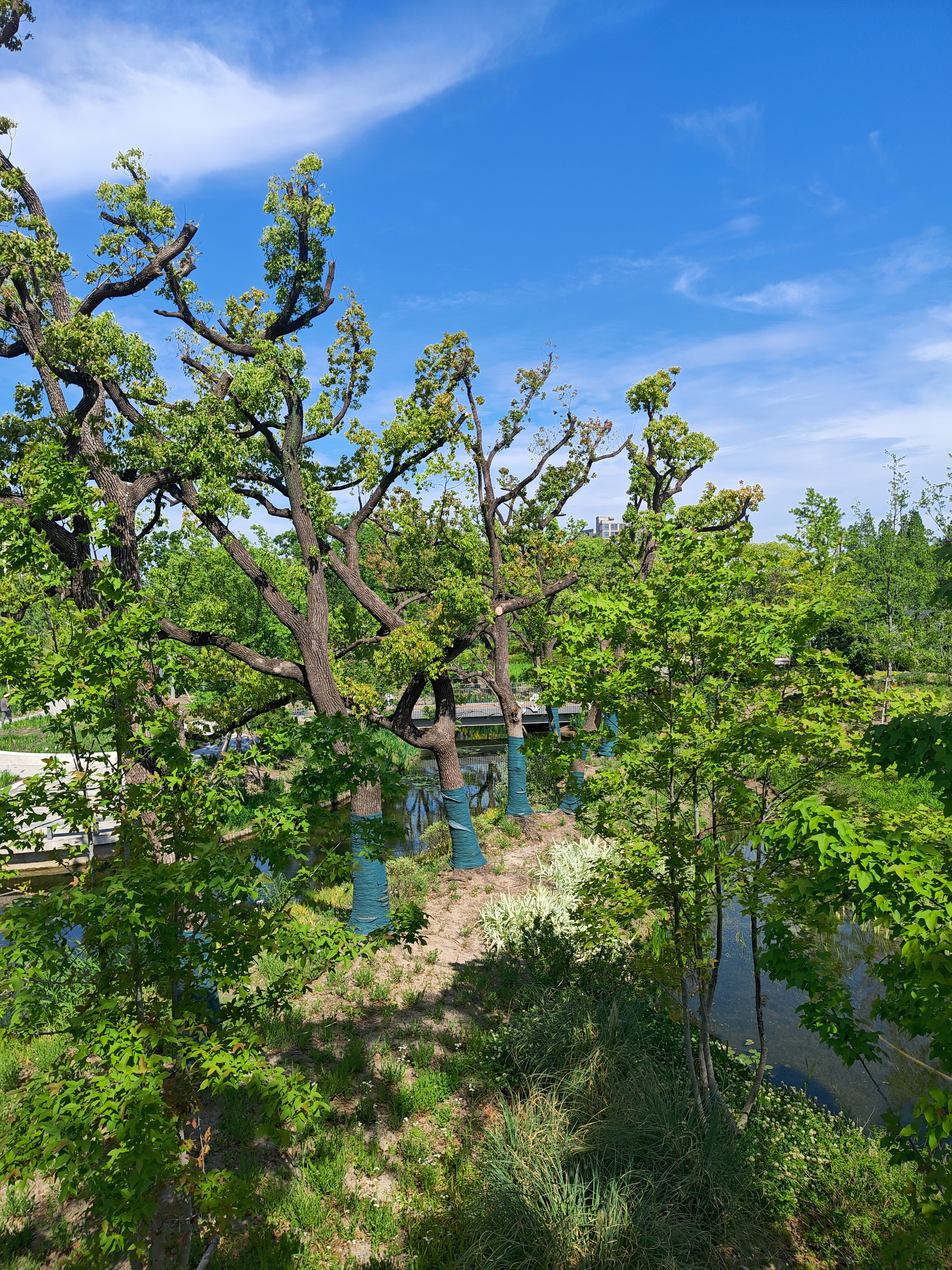 P20250426-144115