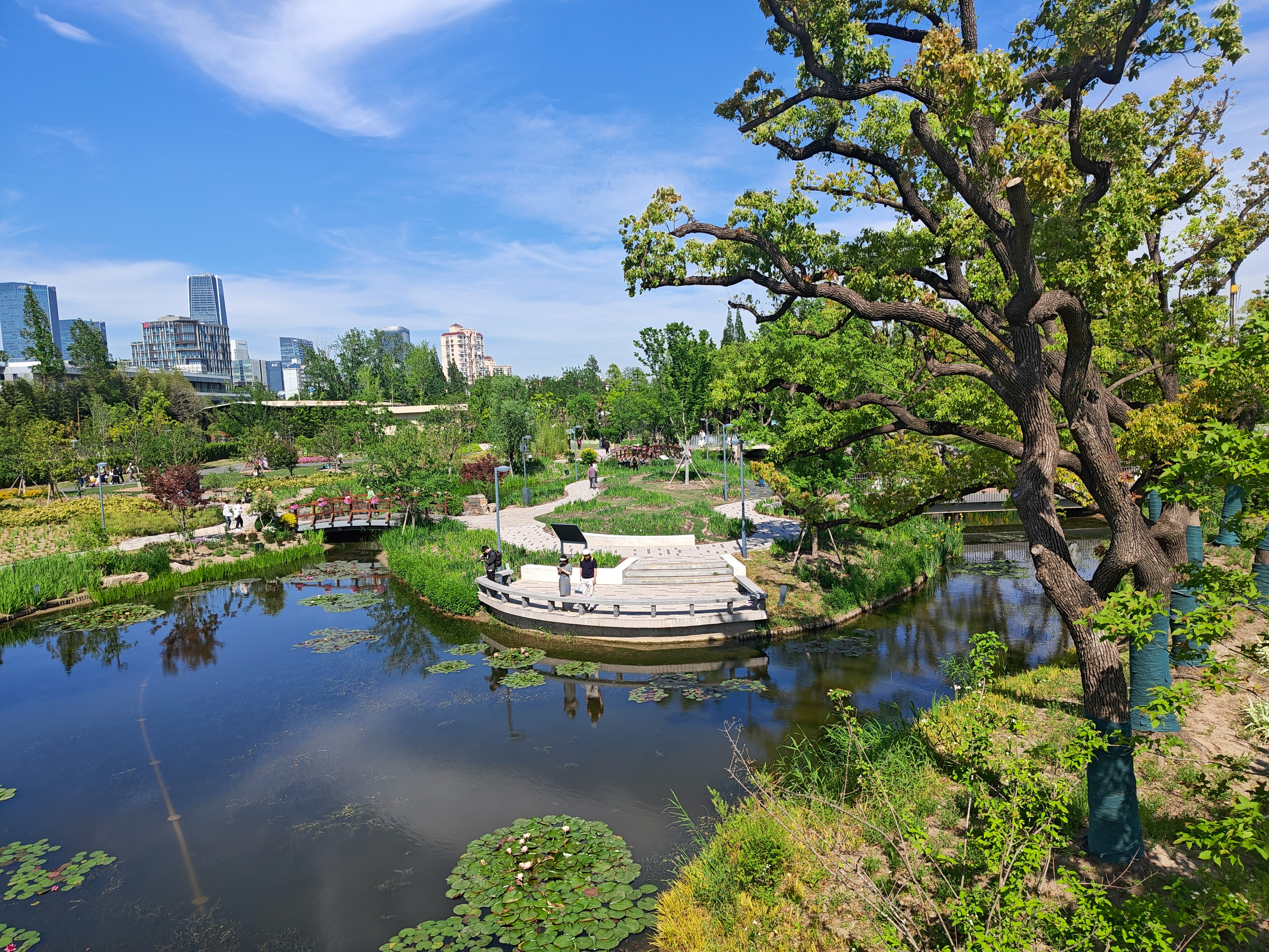 P20250426-144123