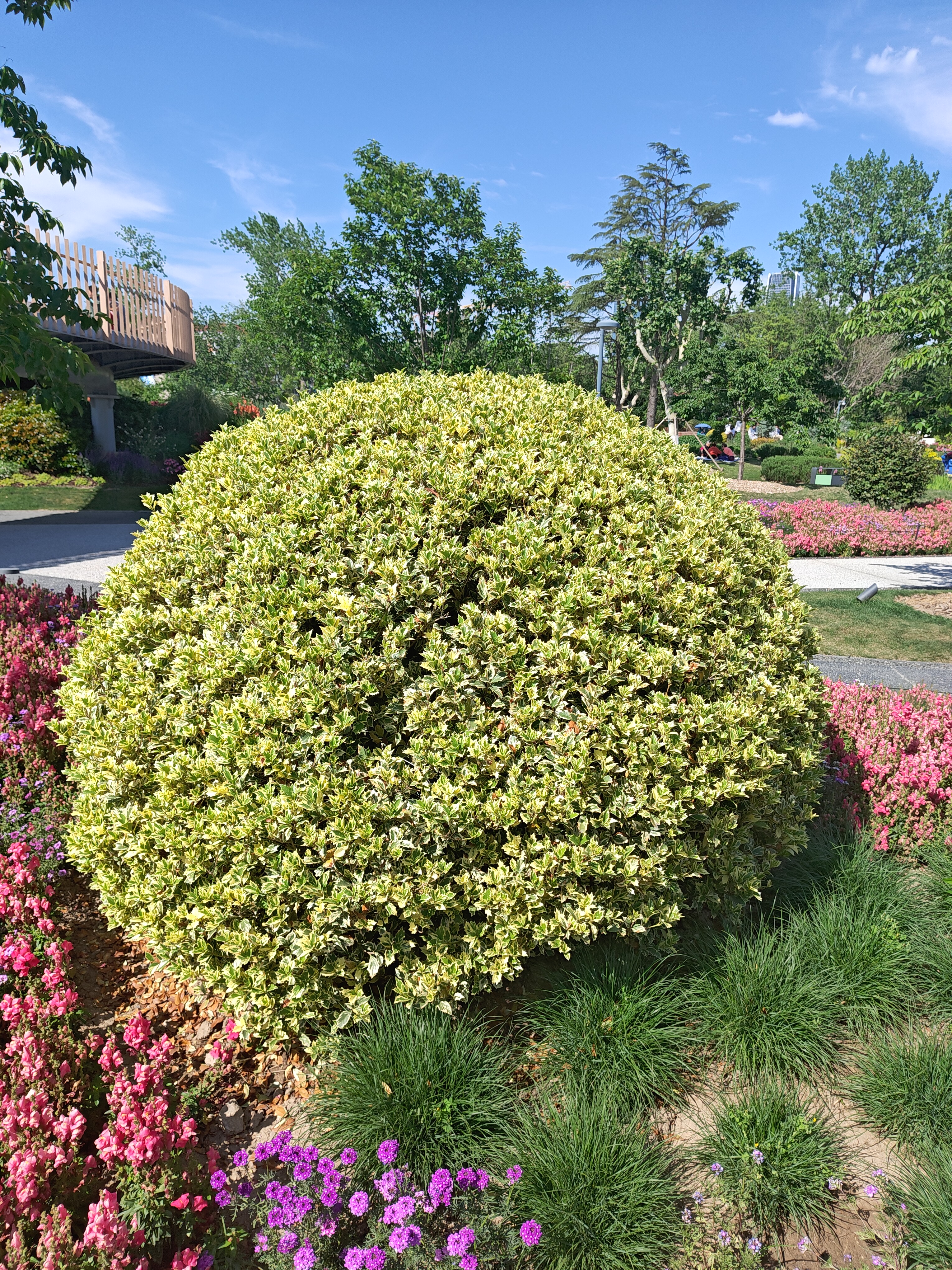 P20250426-144748