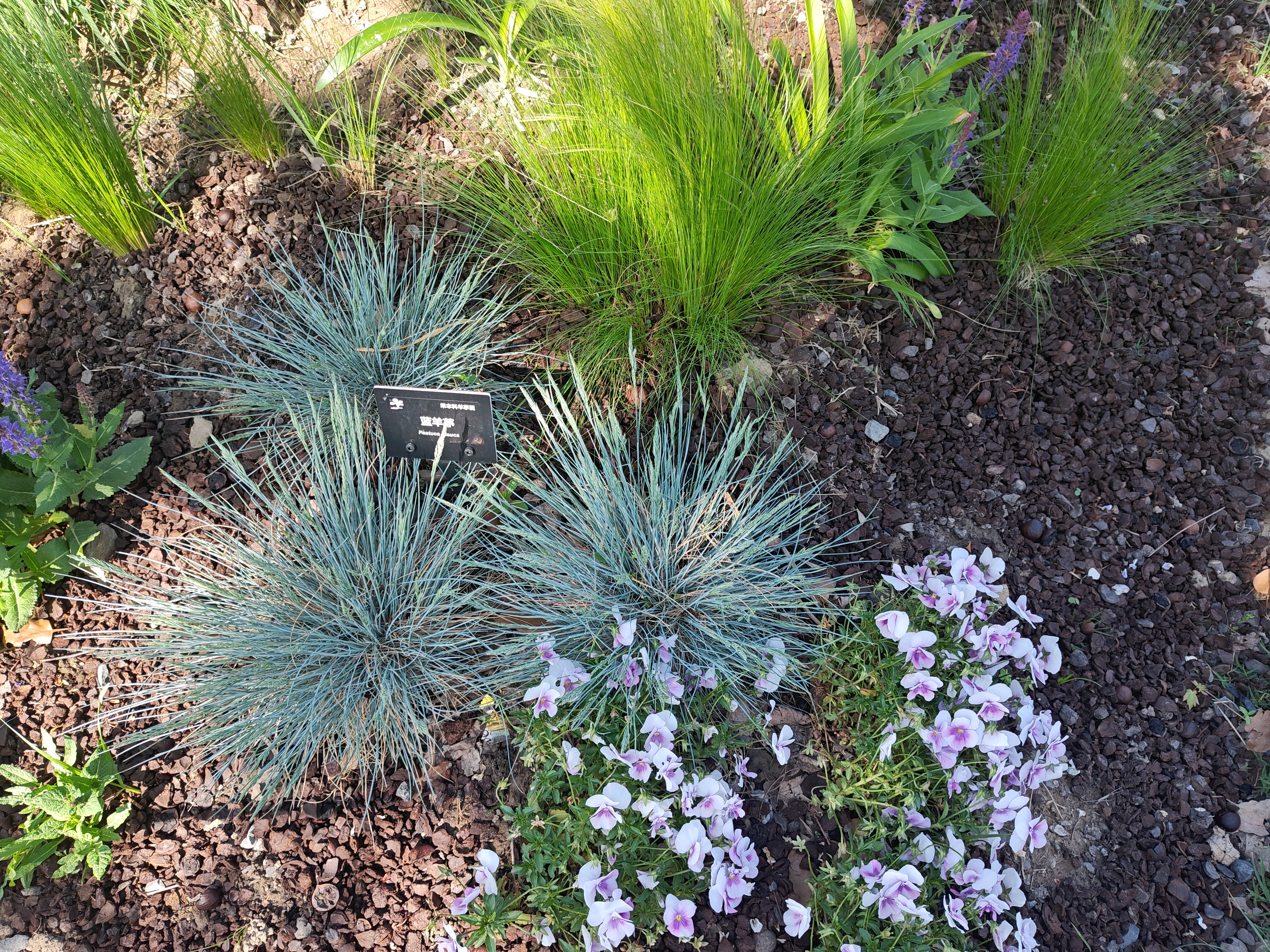 P20250426-144936