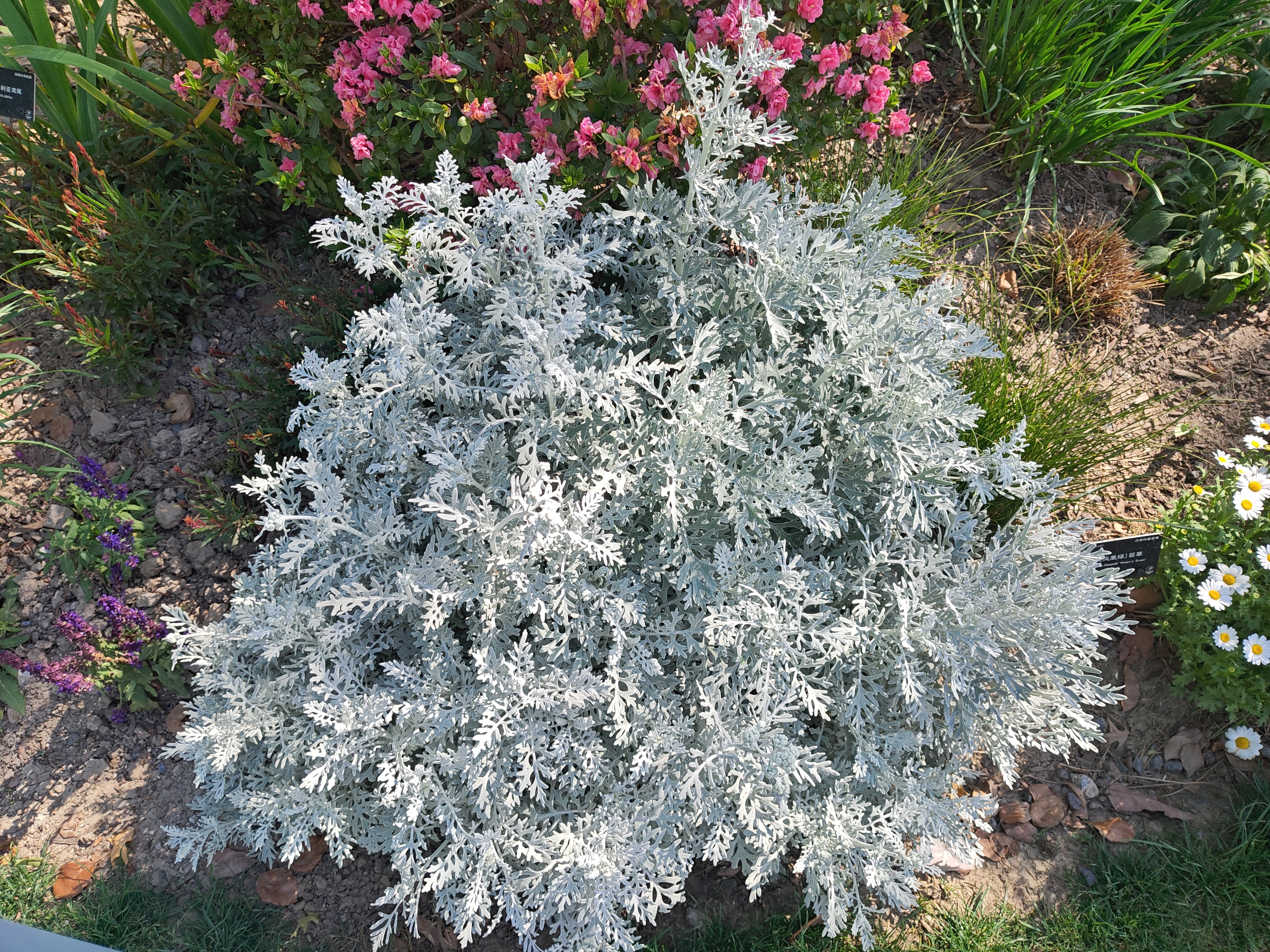 P20250426-145315