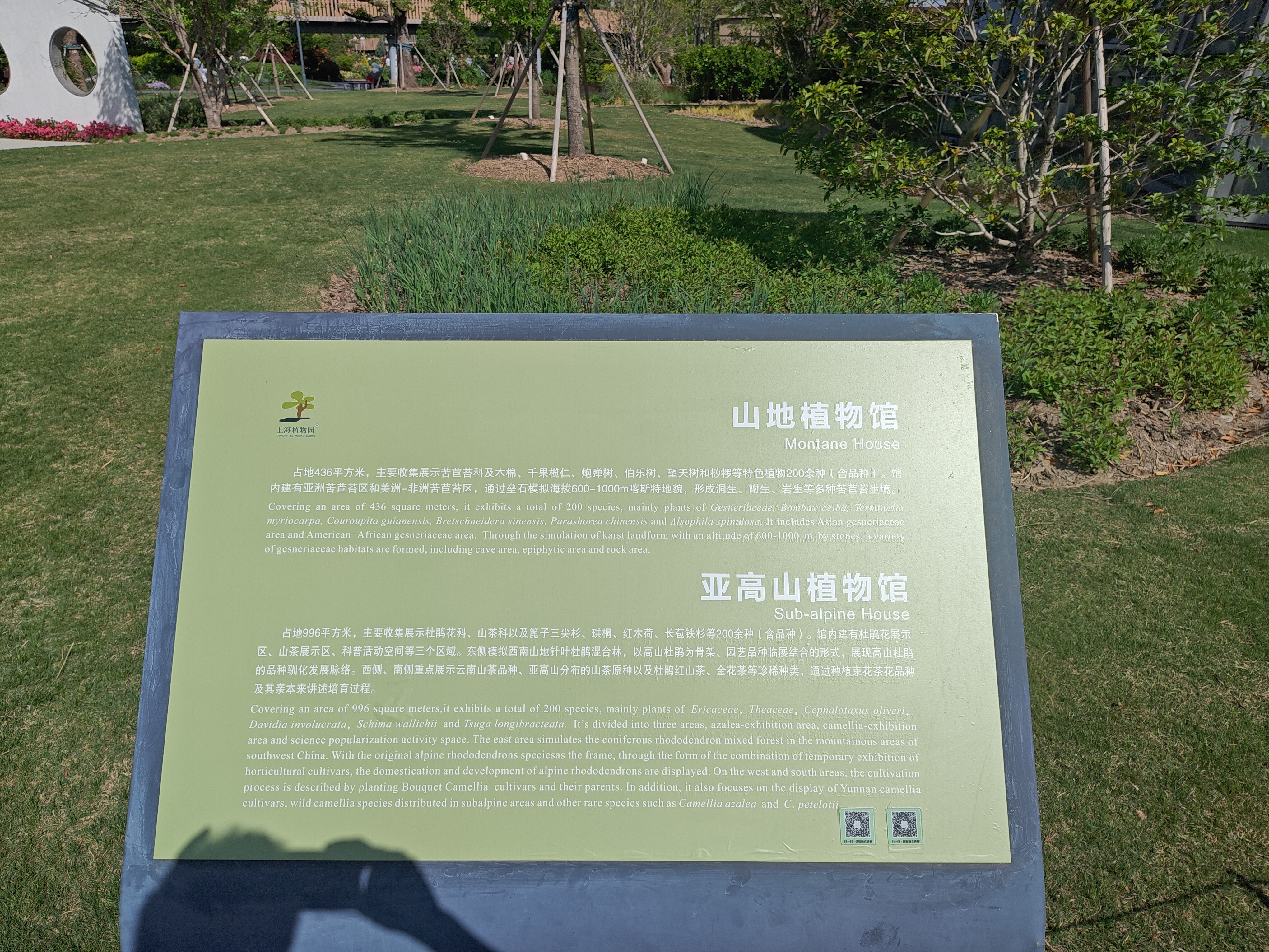P20250426-145702