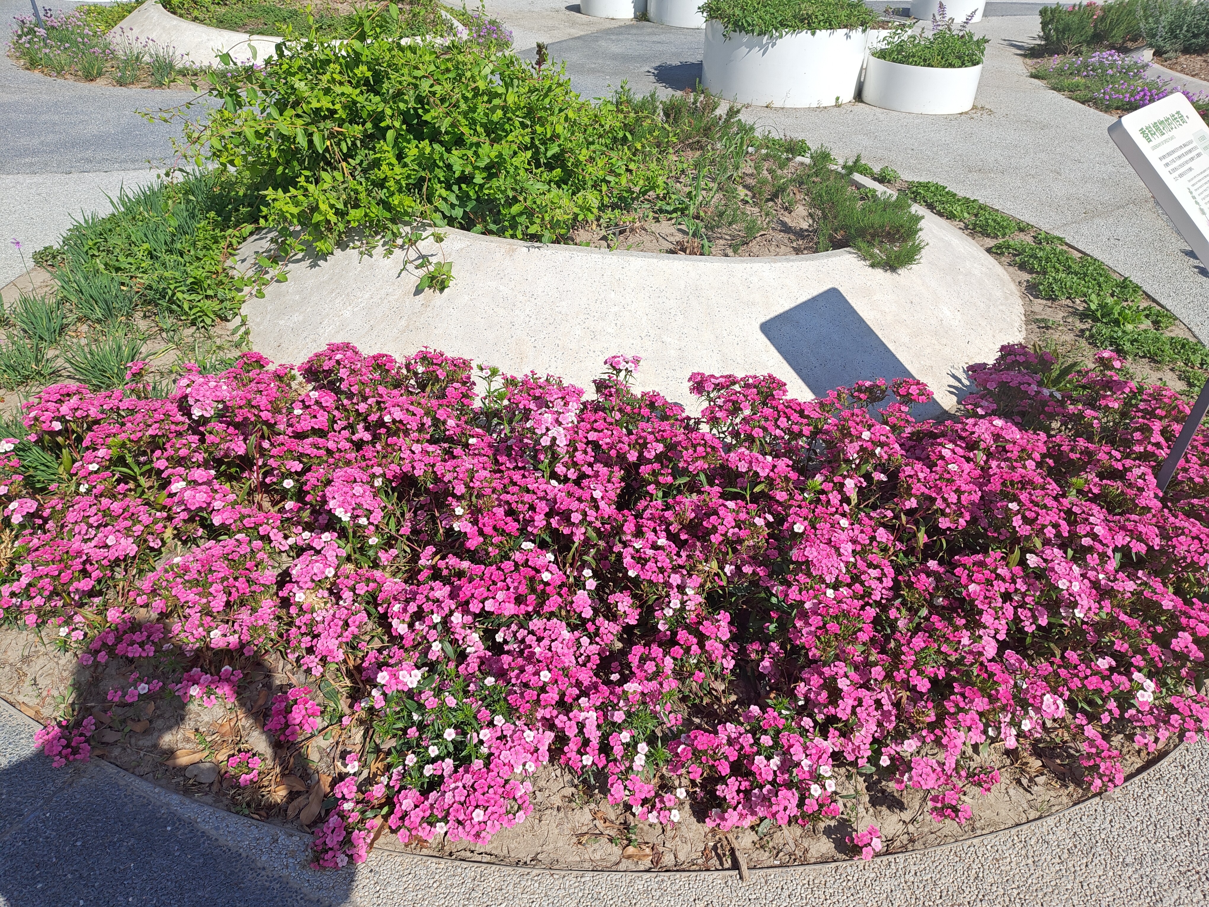 P20250426-150141
