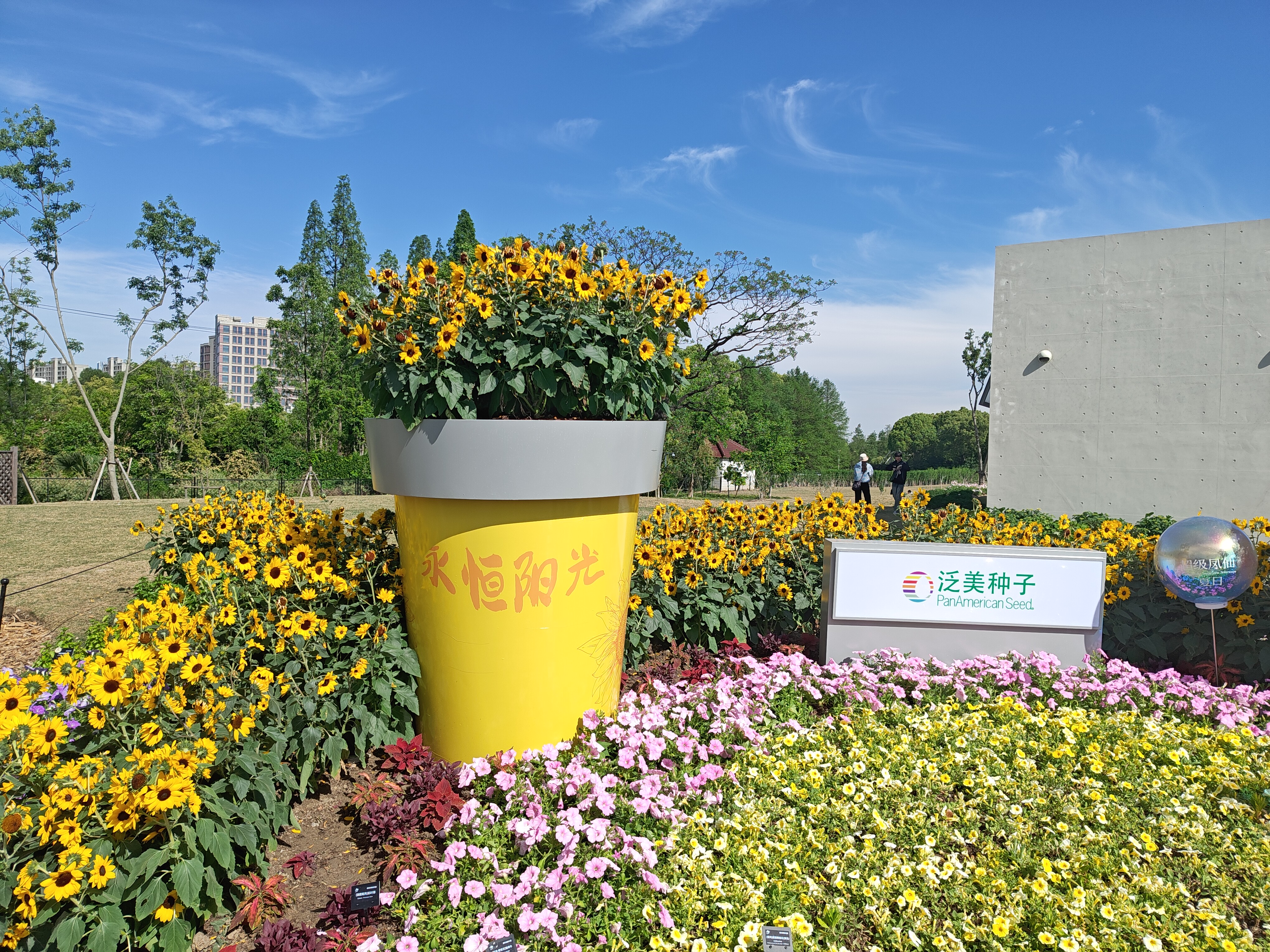 P20250426-150530