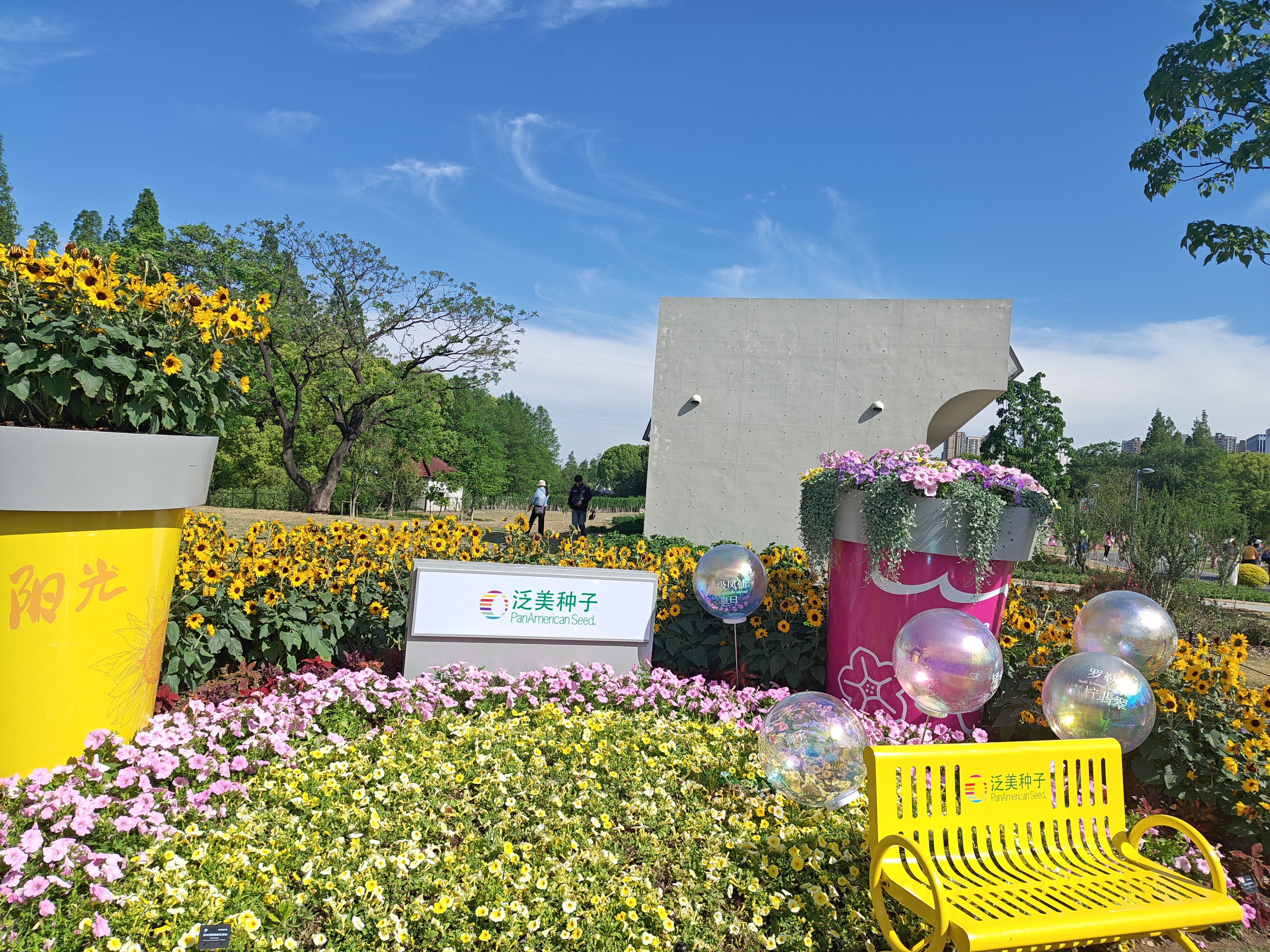 P20250426-150534