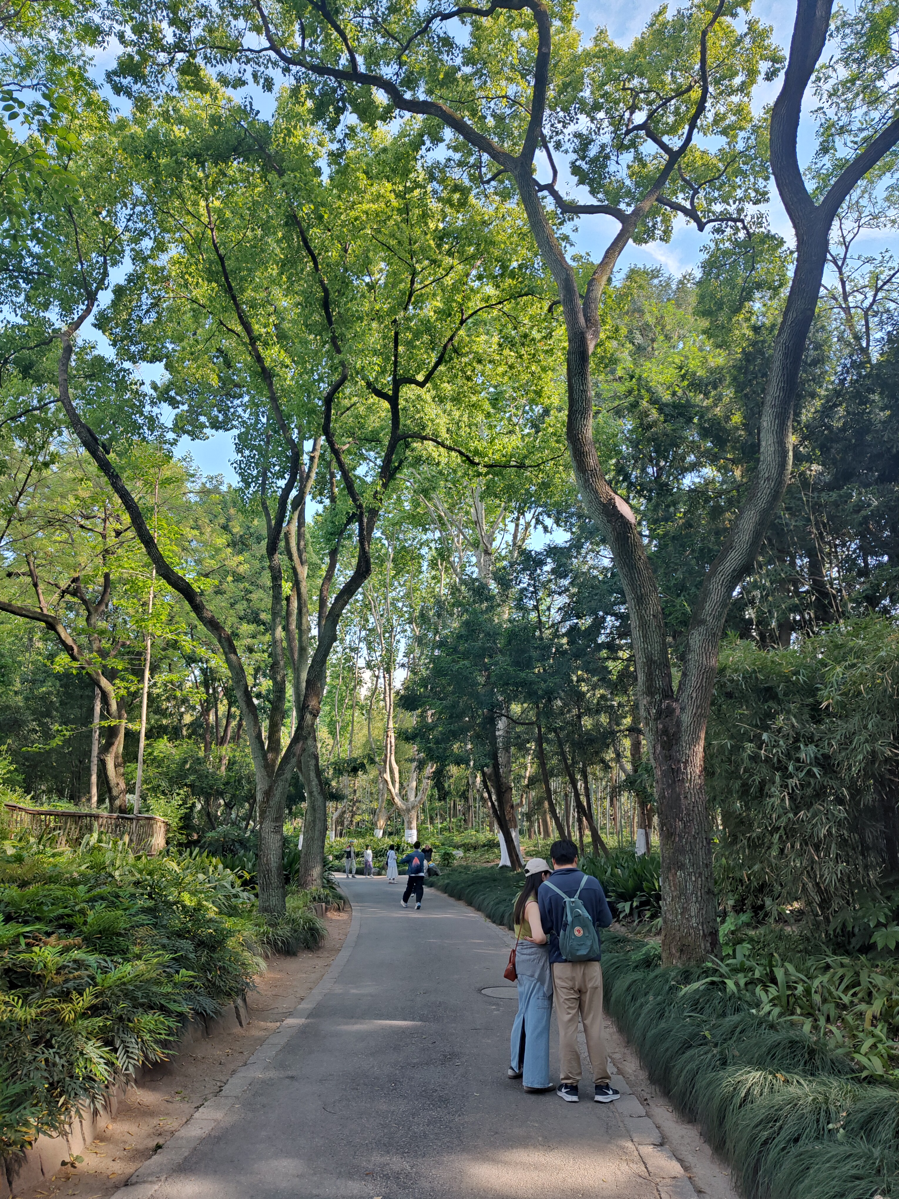 P20250426-152350