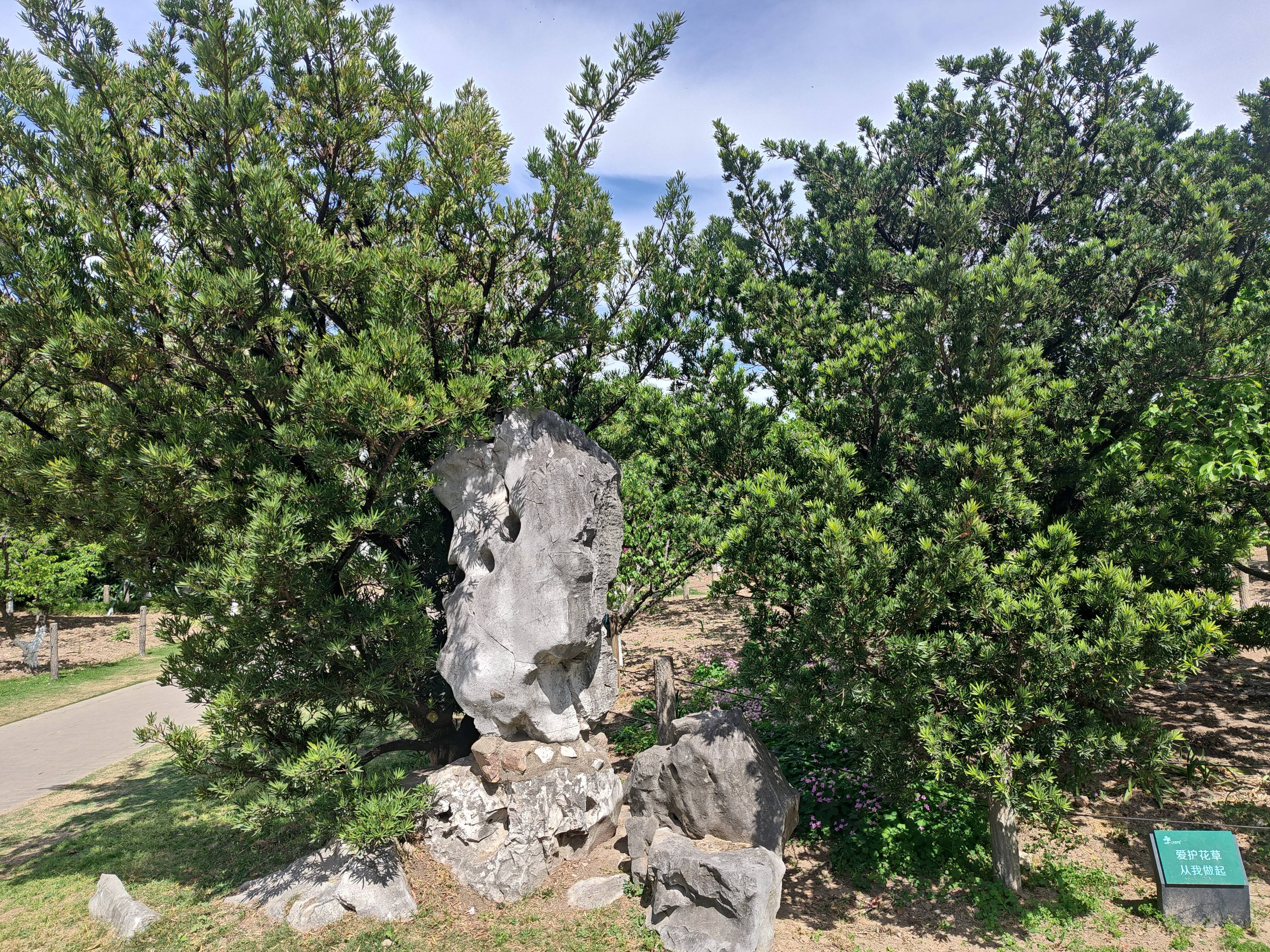 P20250426-134753