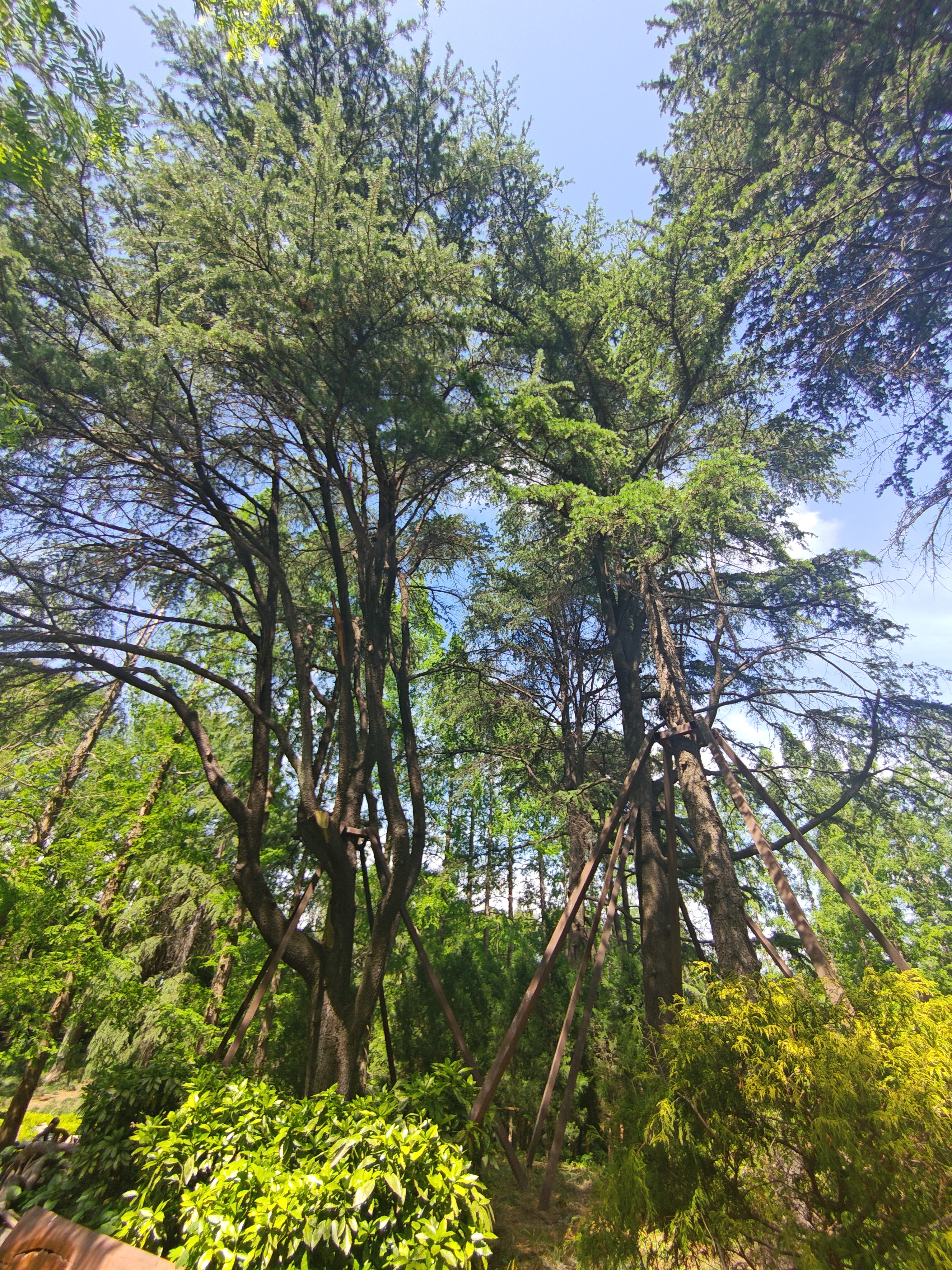 P20250426-141028