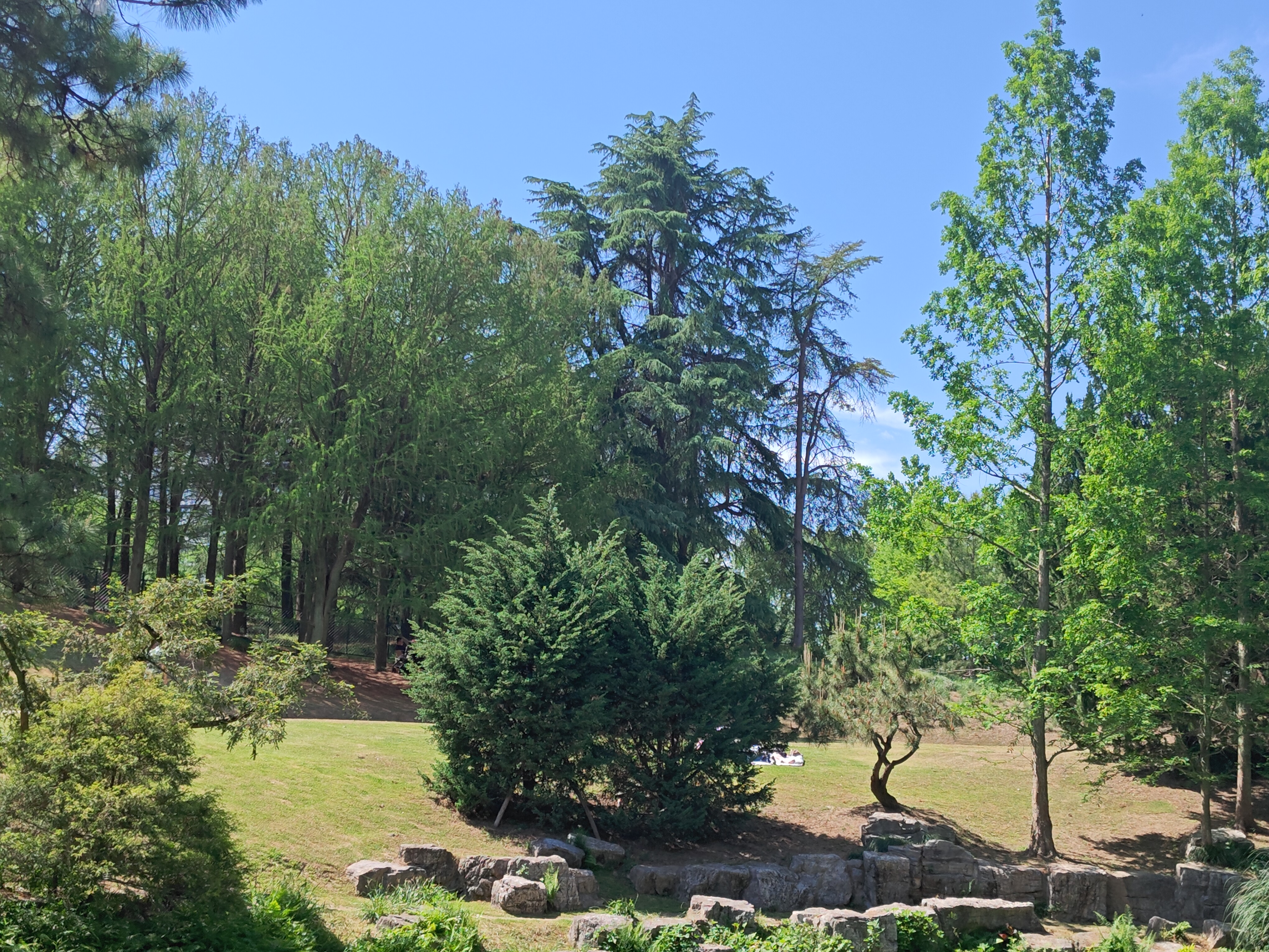 P20250426-141044