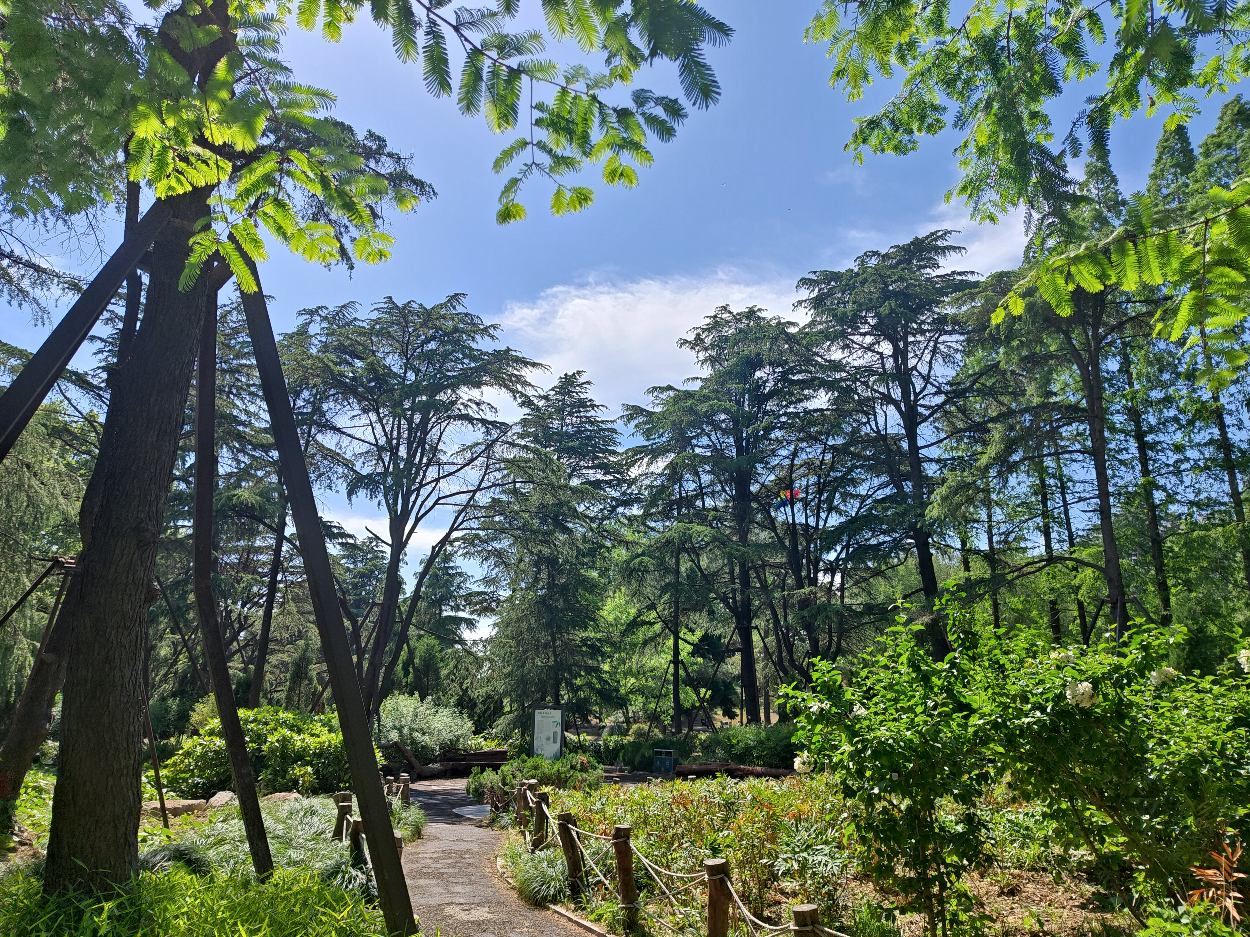 P20250426-141223