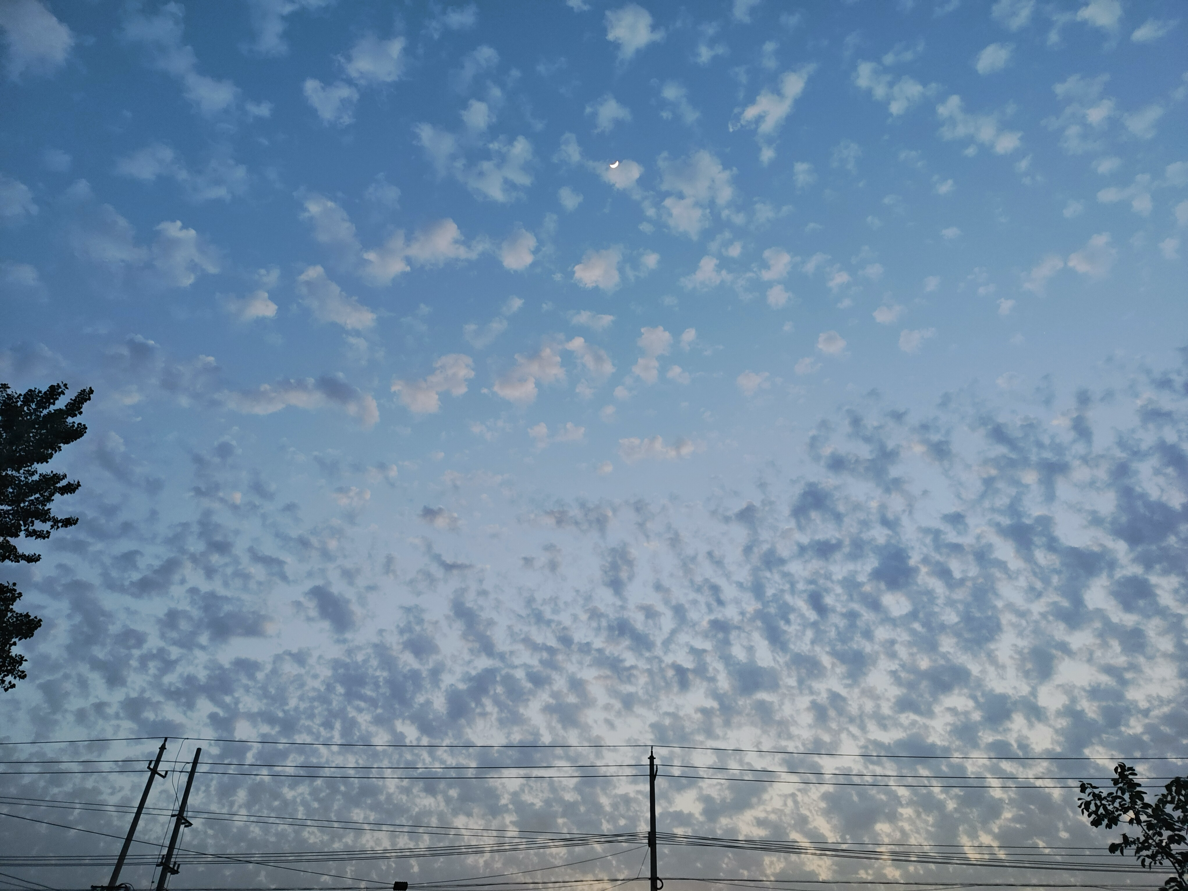 image-20250505214000947