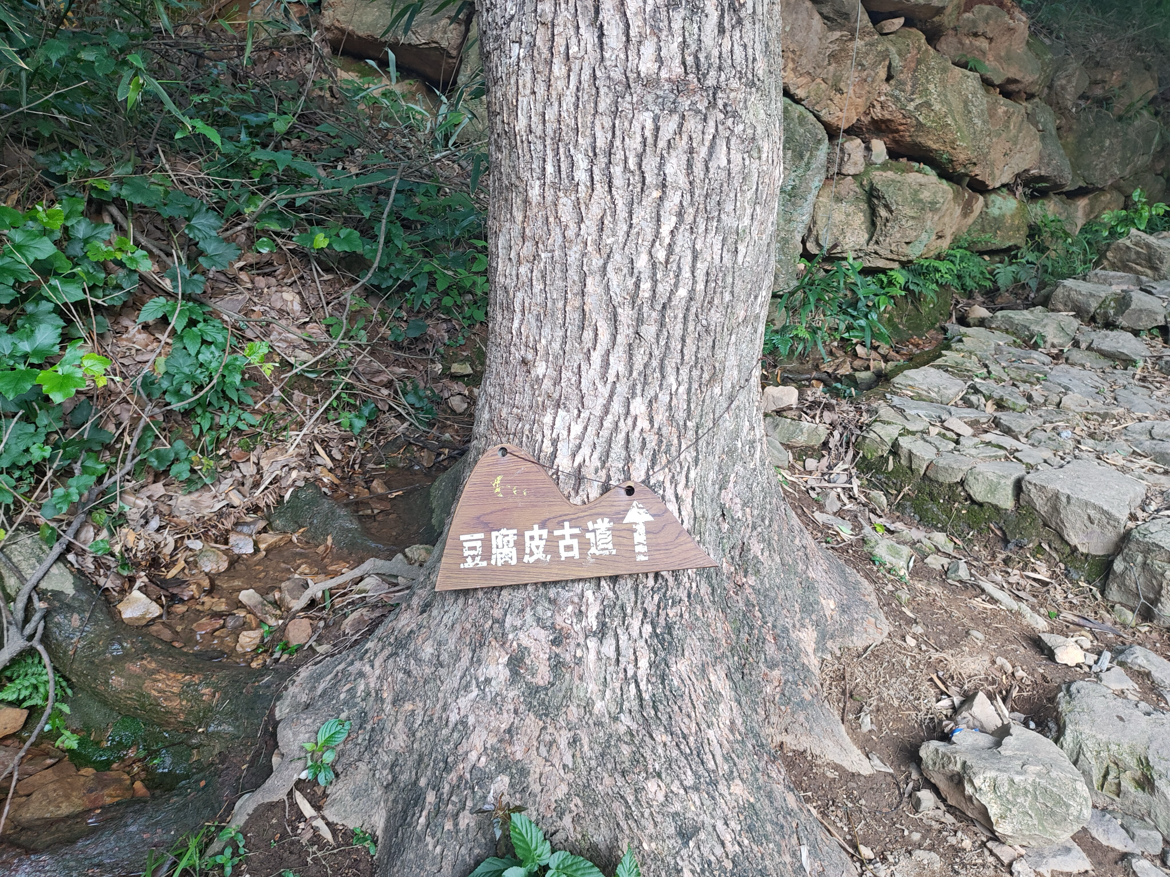 image-20250512204154187
