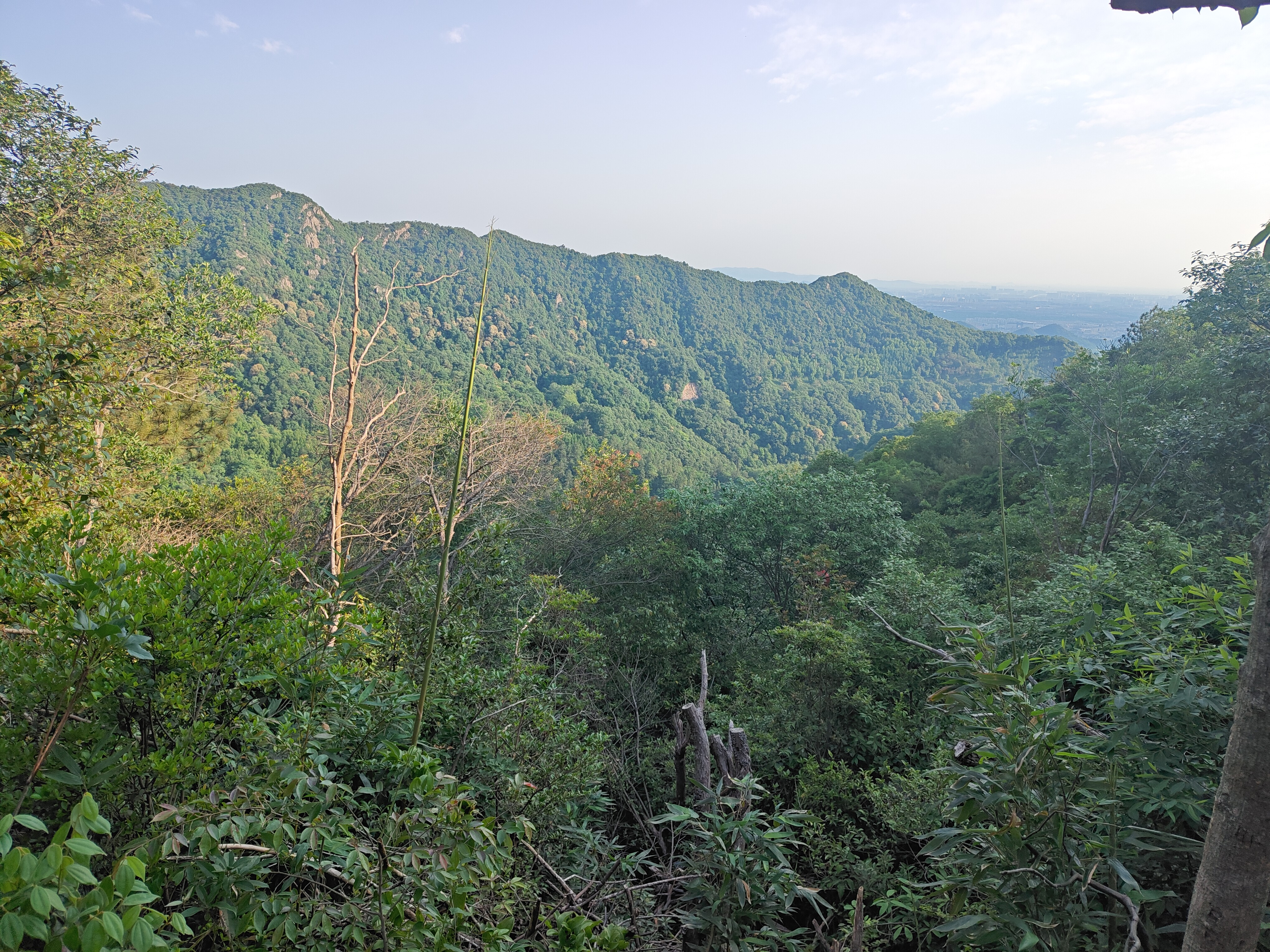 P20250511-065435