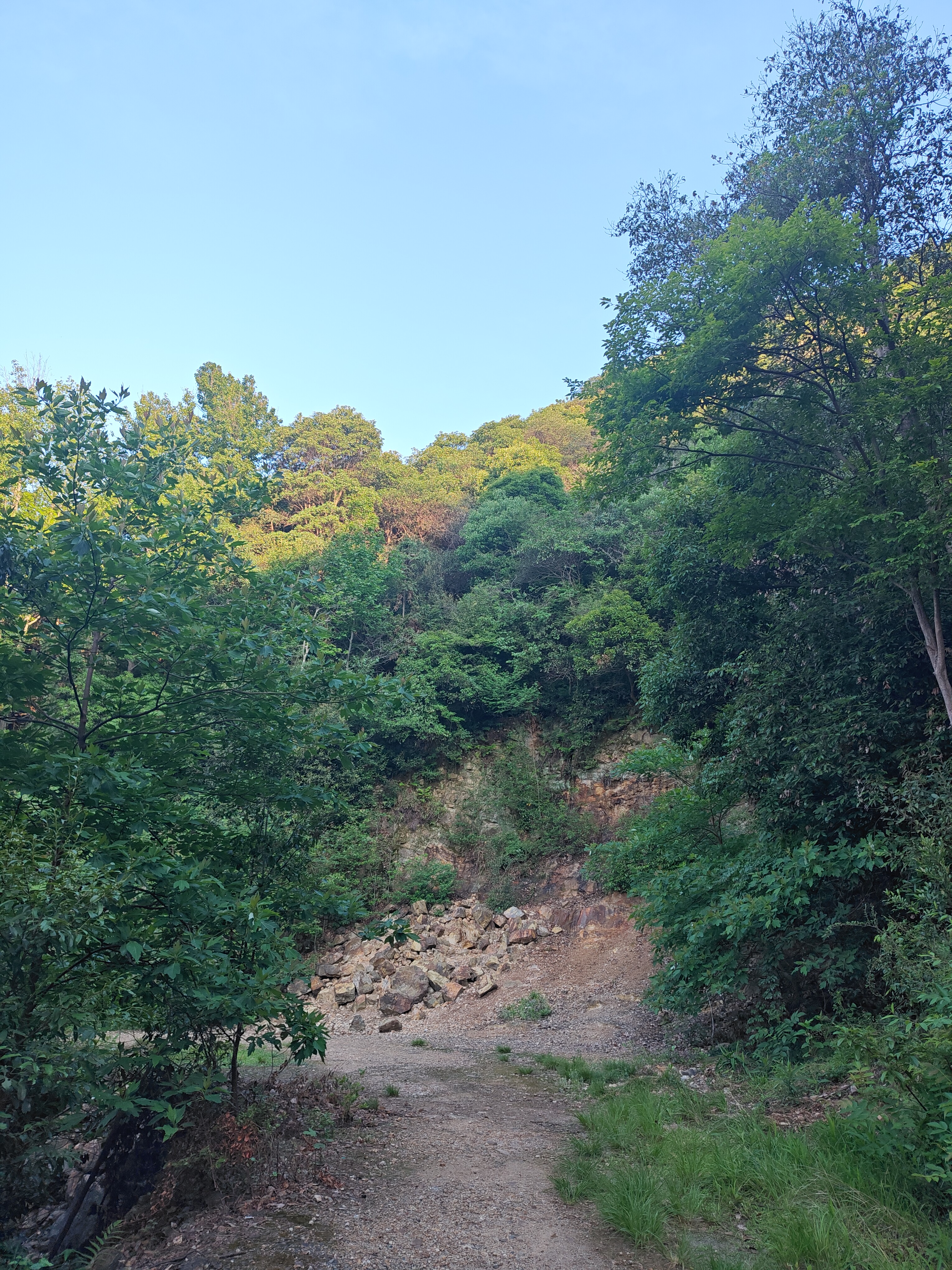 P20250511-063013