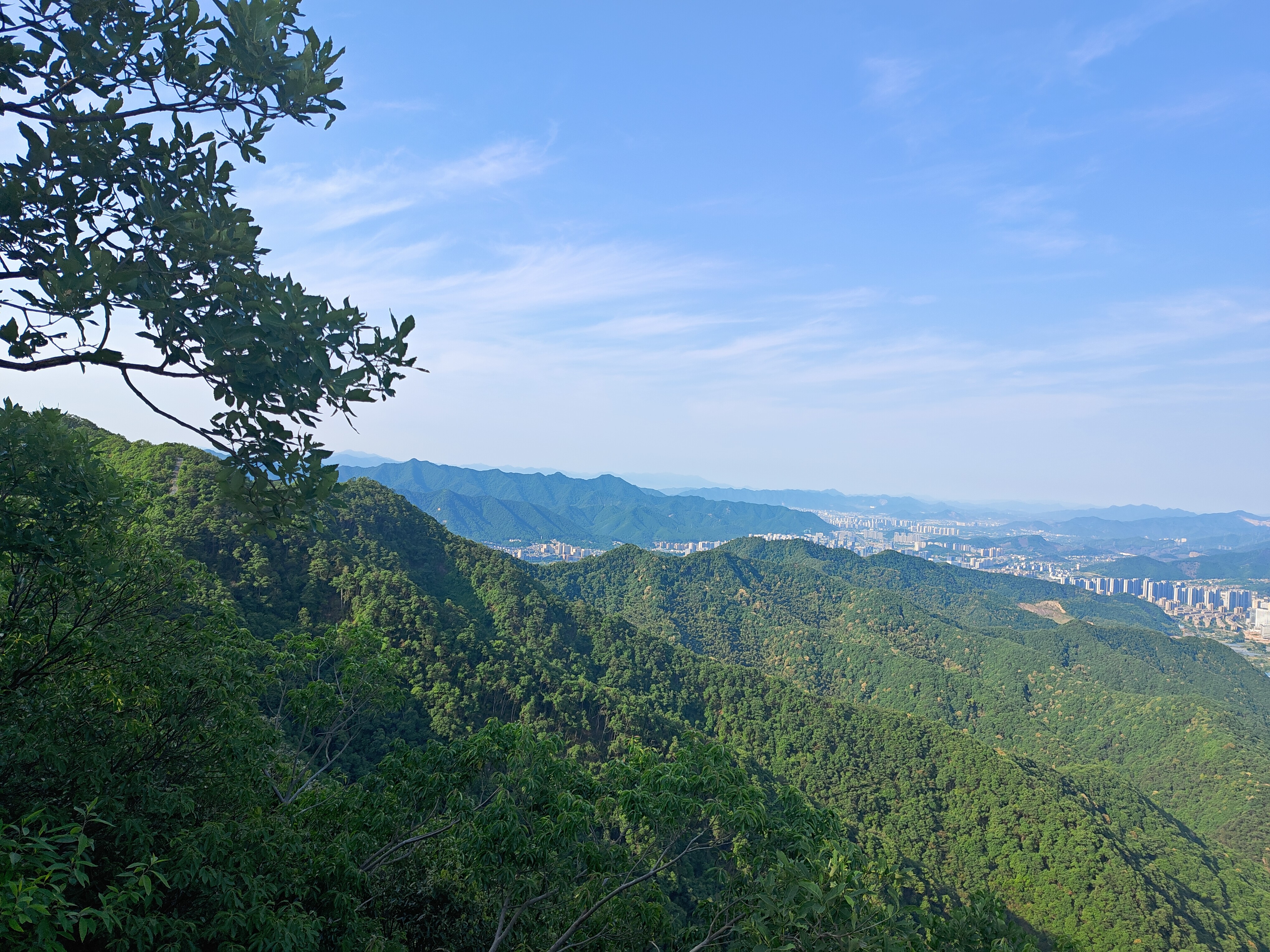 P20250511-073258