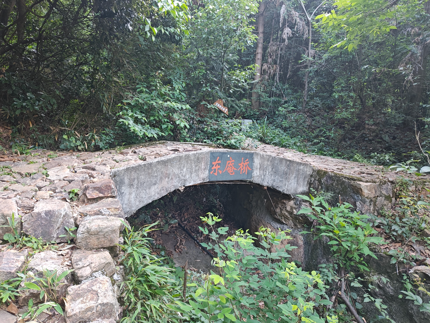 image-20250512213546750