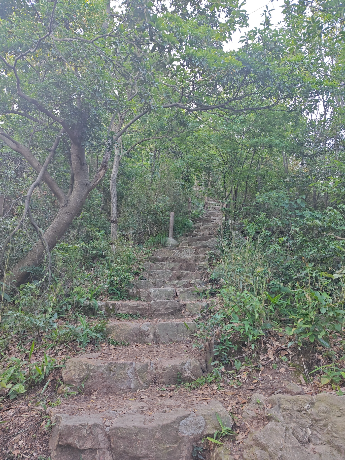 image-20250512213803332