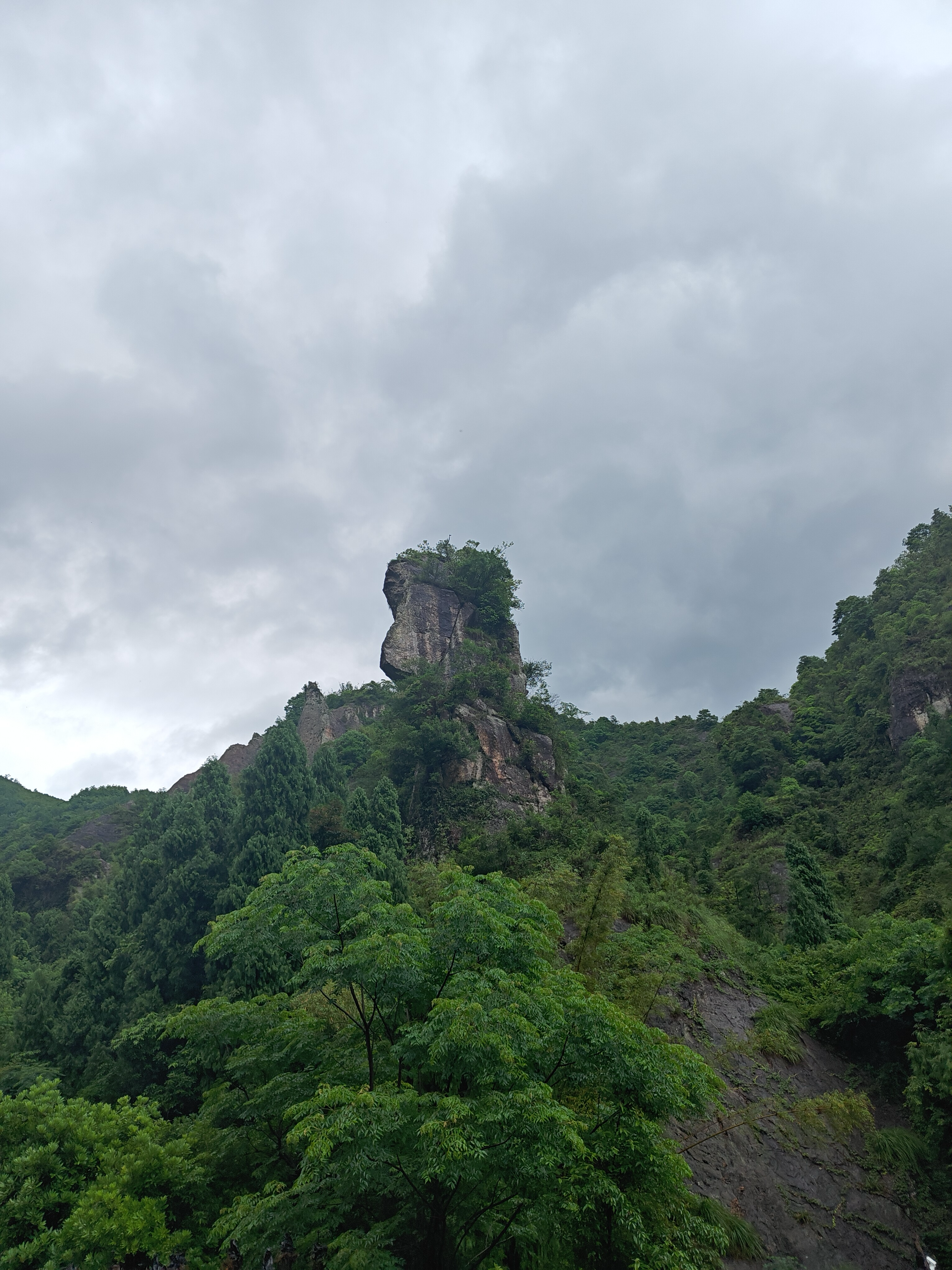 image-20250603205139268