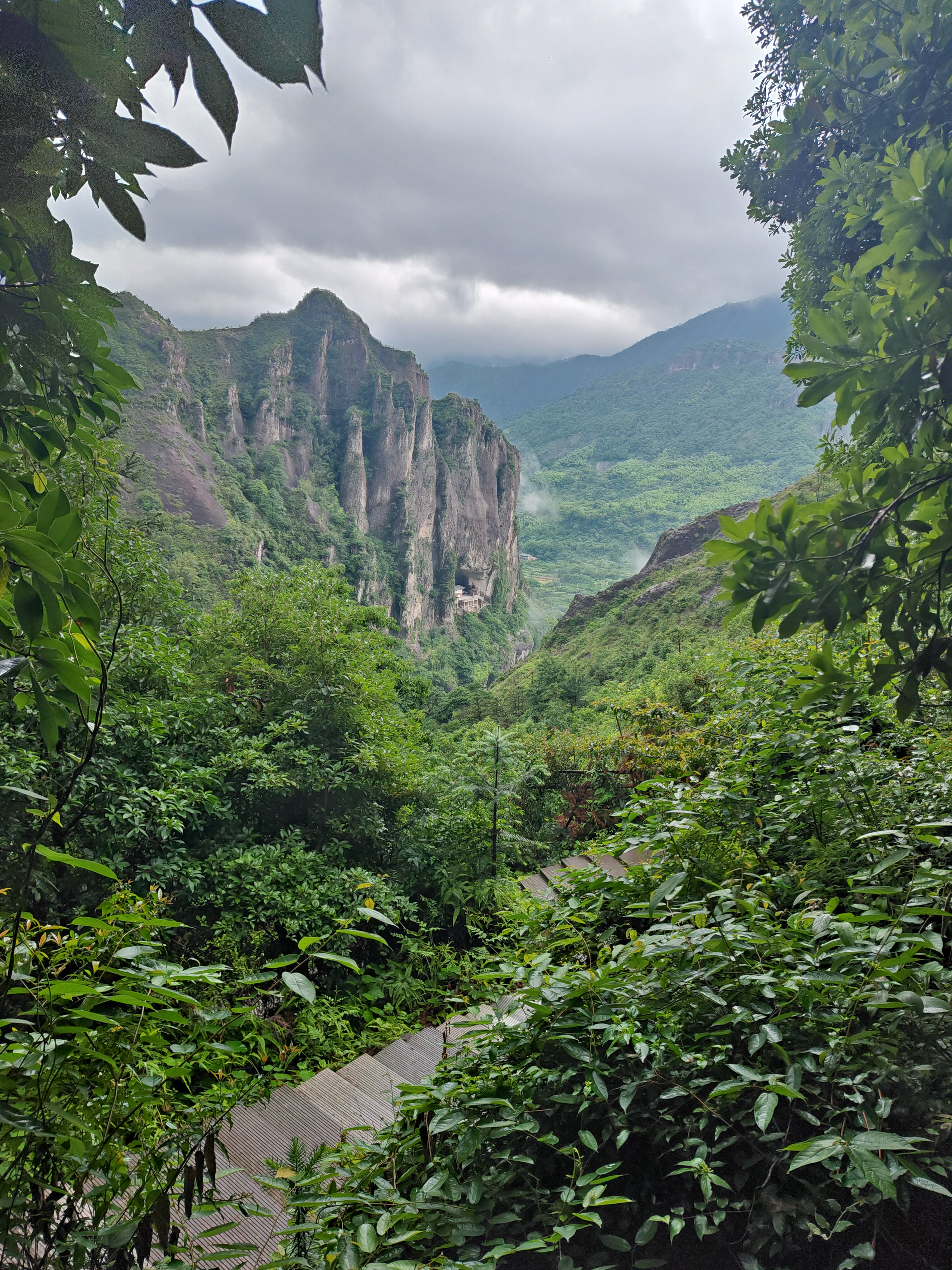 image-20250603205250527