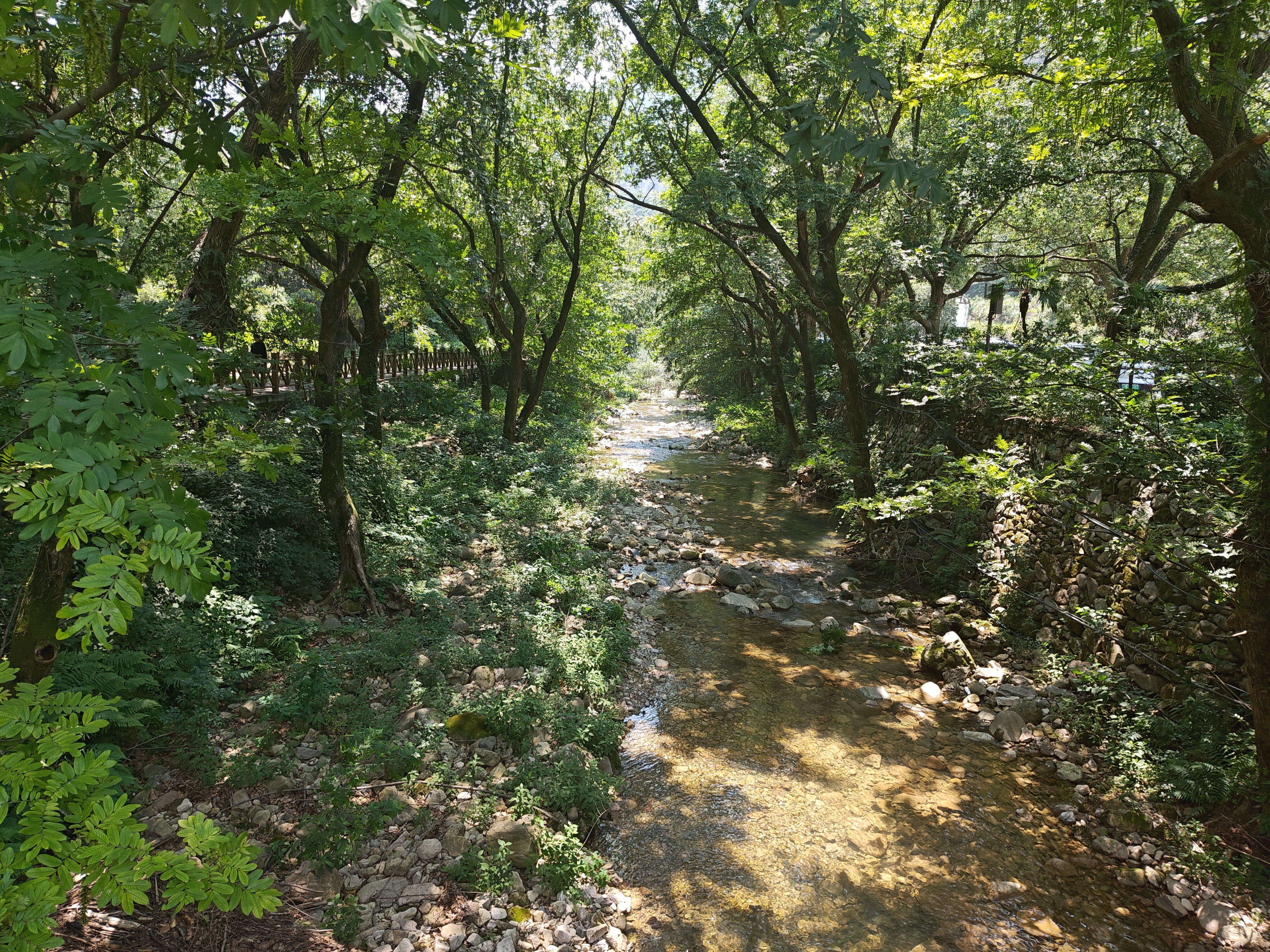 P20250531-131853