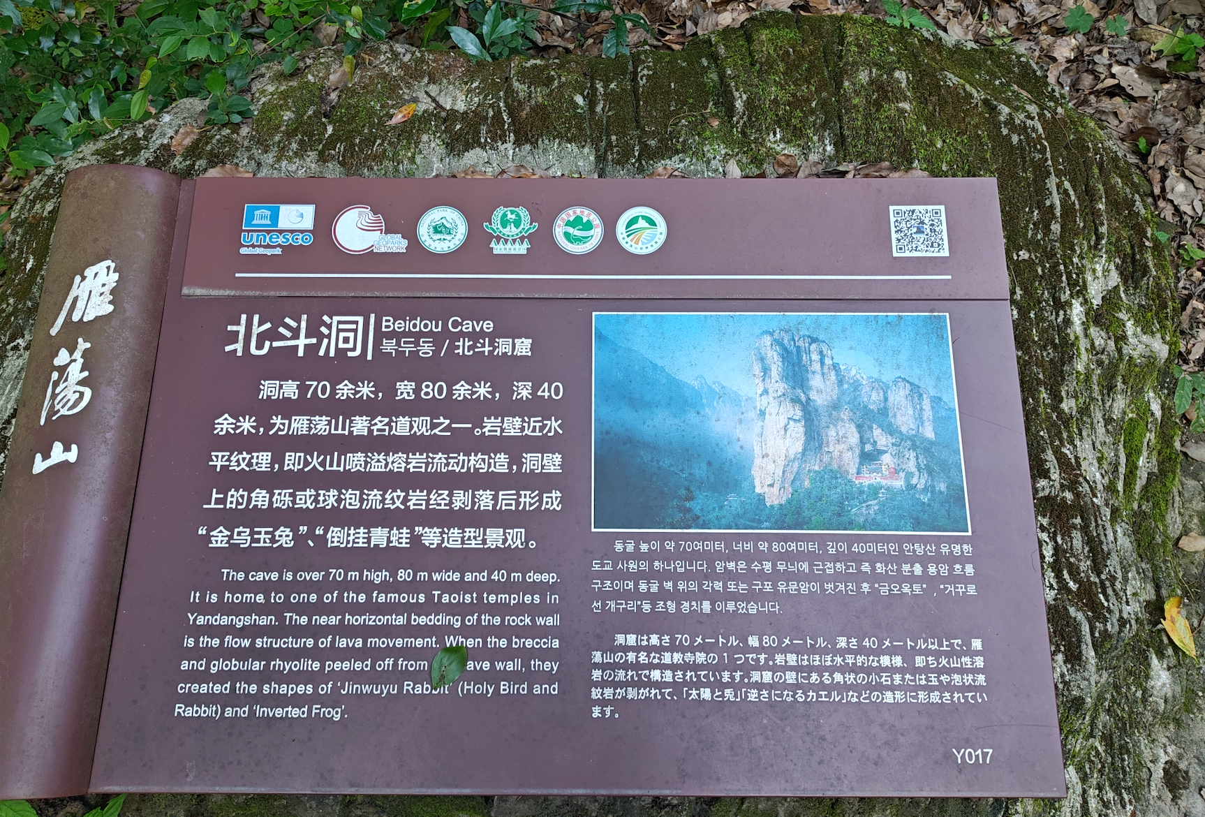 image-20250603213324303