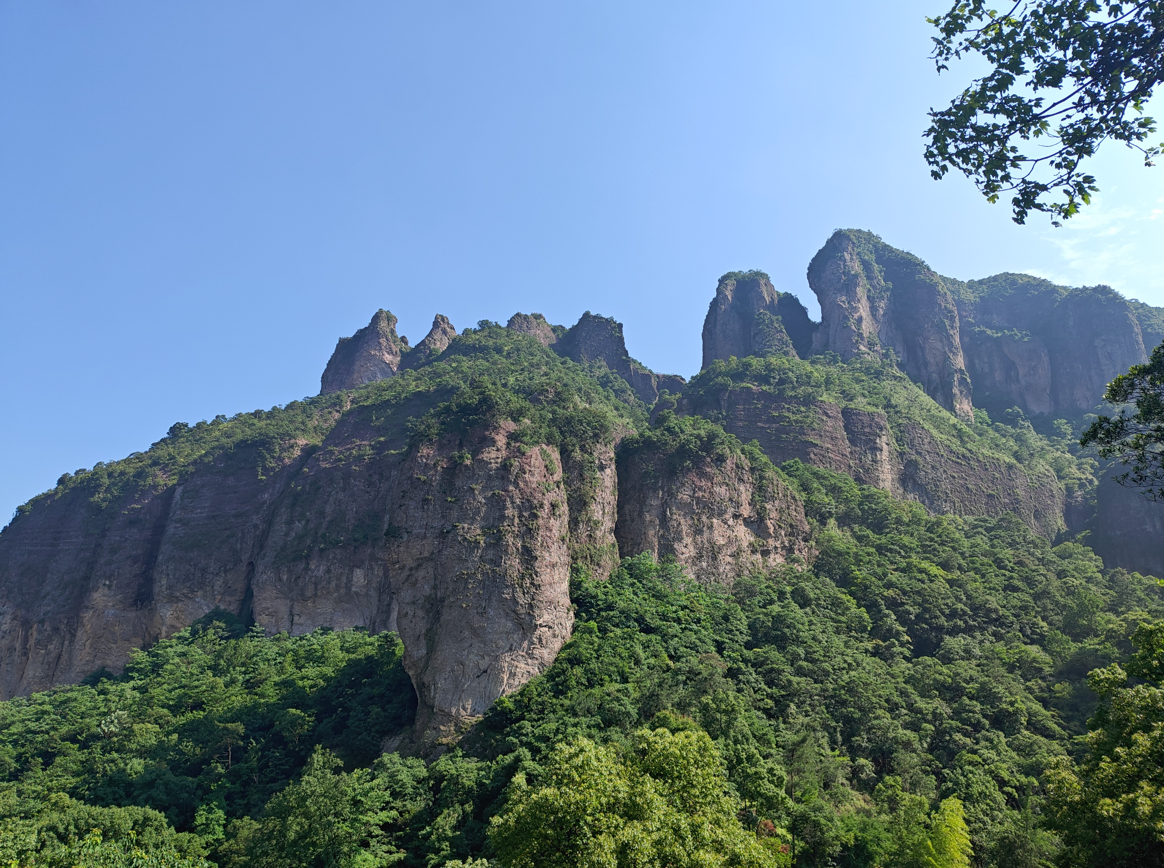 image-20250603213829381