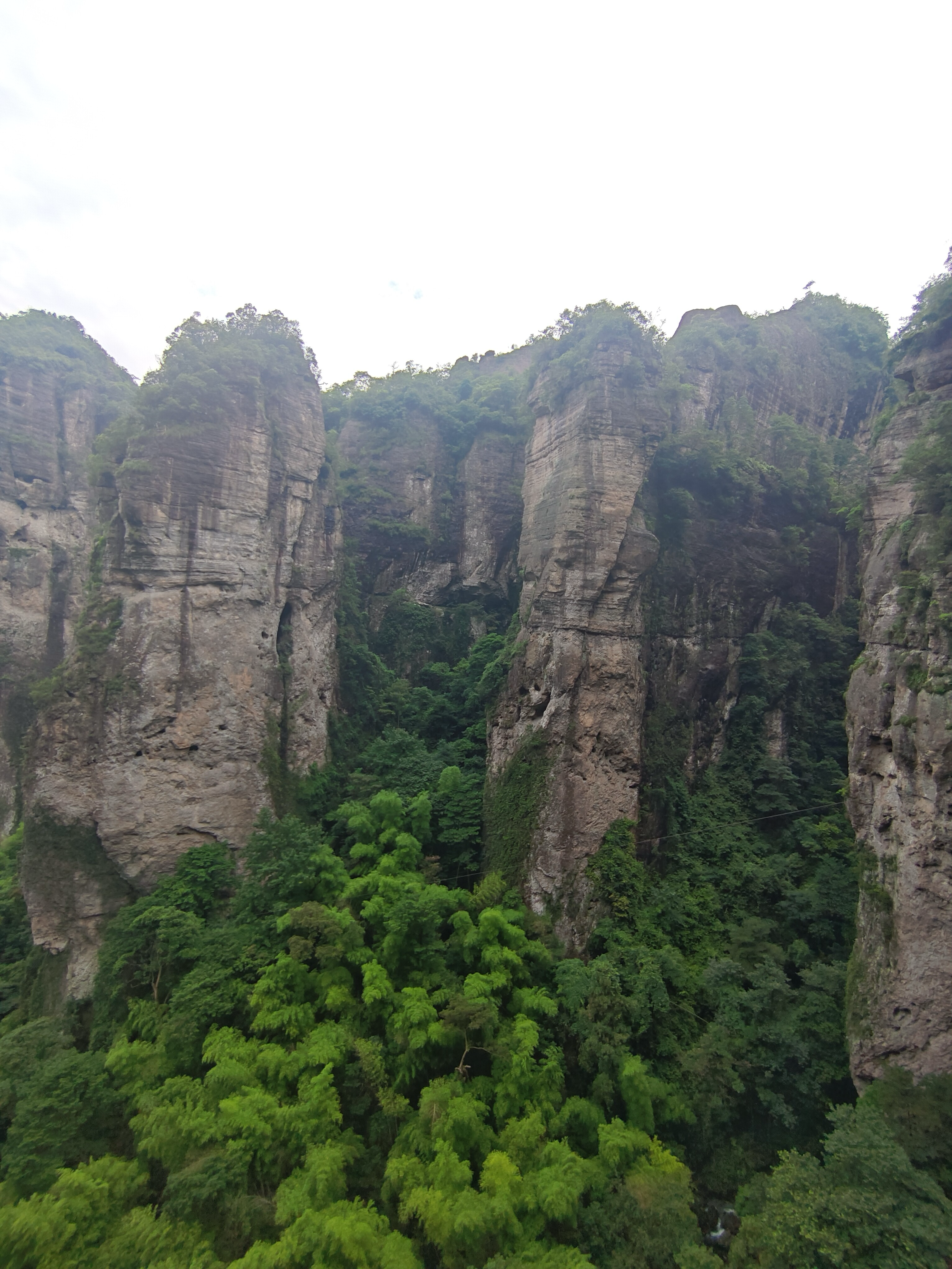image-20250603220454249