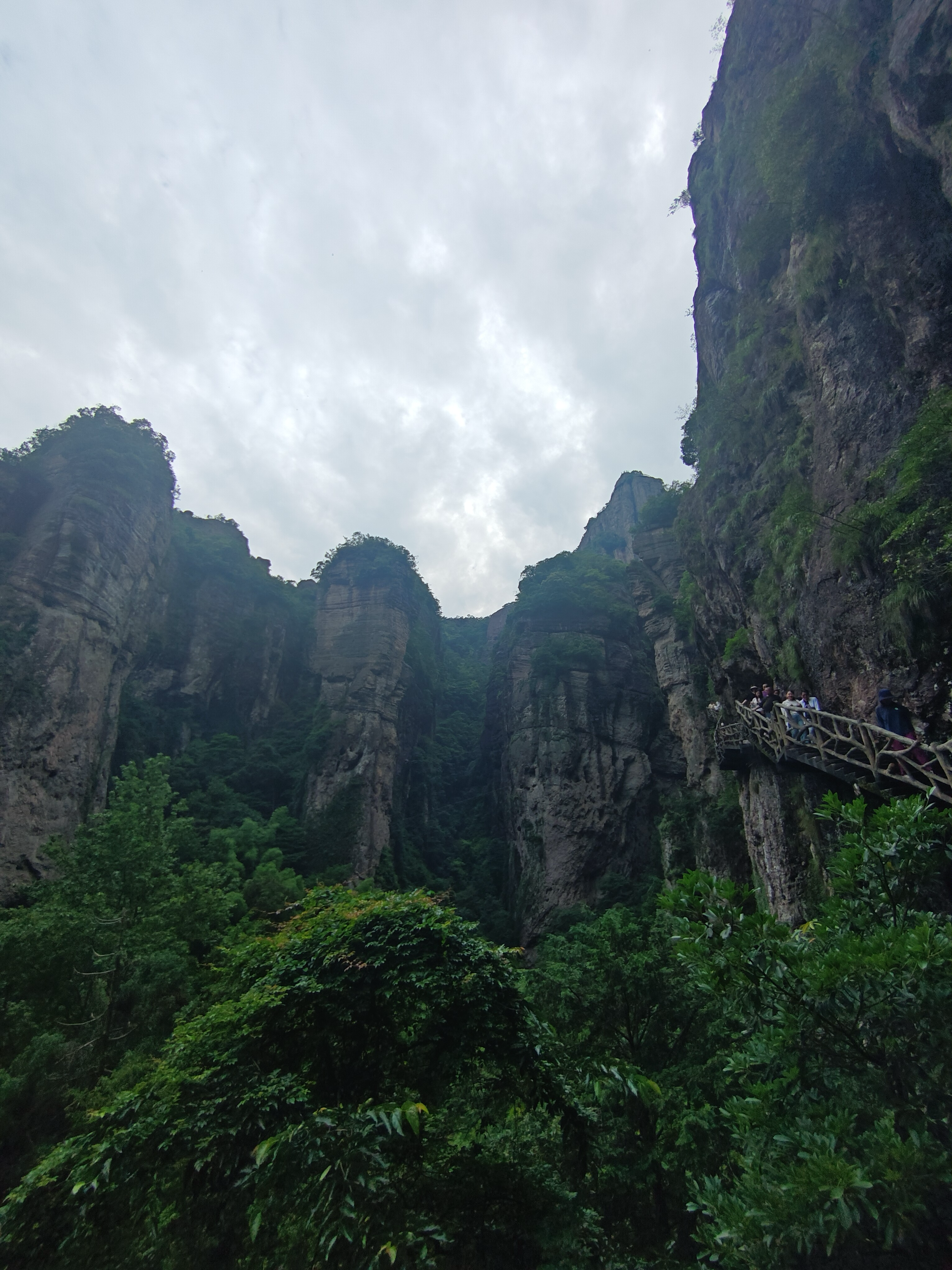 image-20250603220527203
