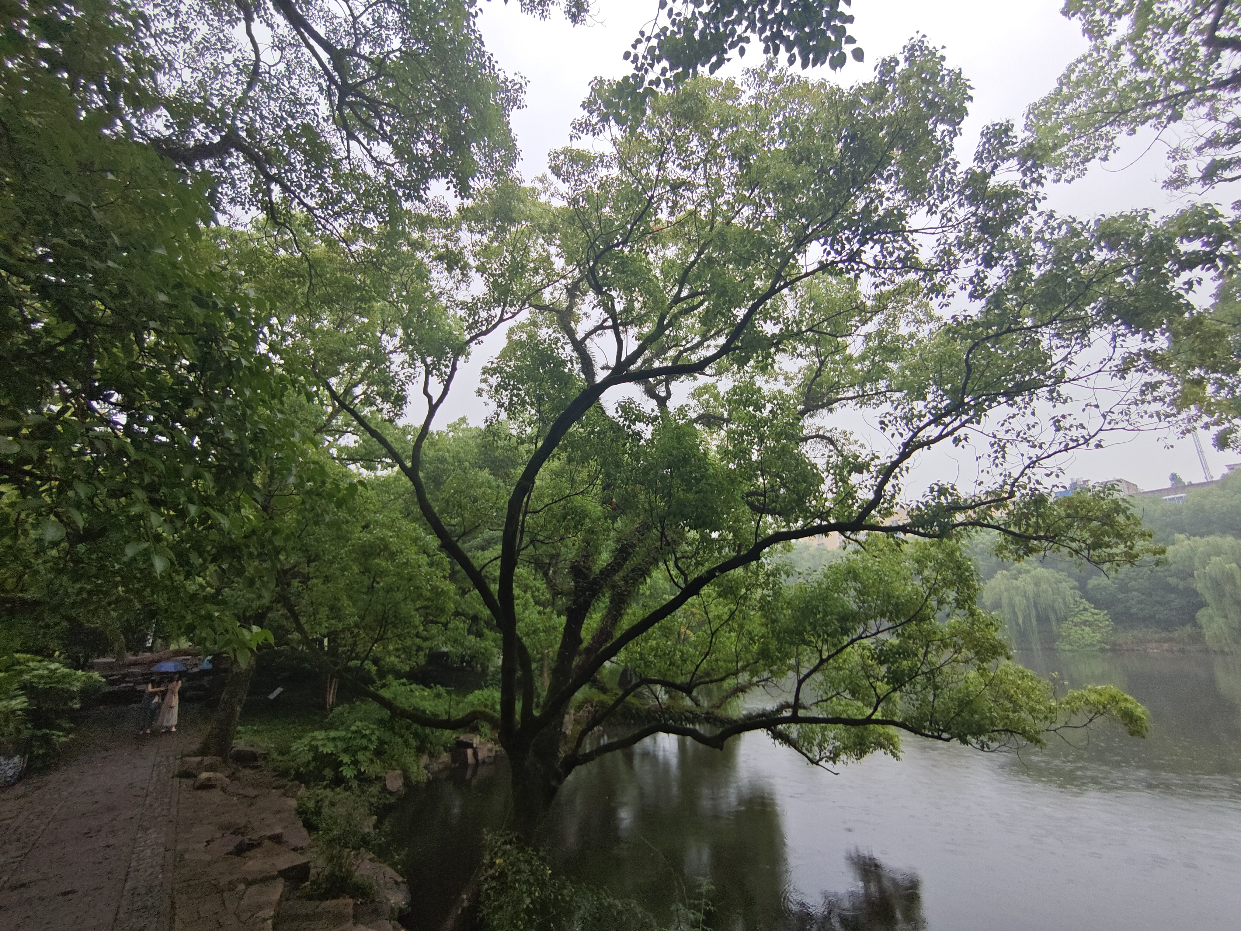 P20250602-102847