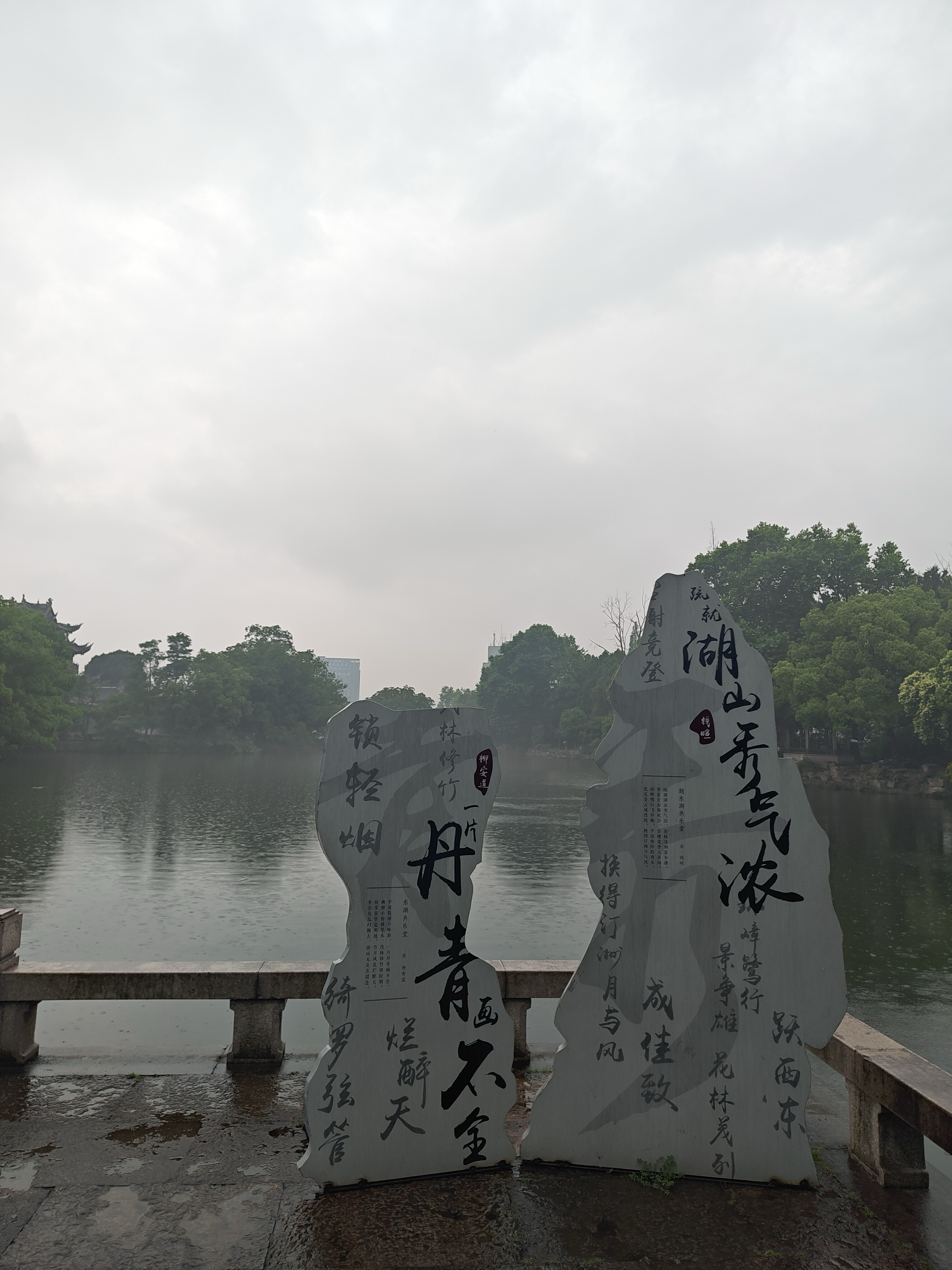 image-20250603224232785