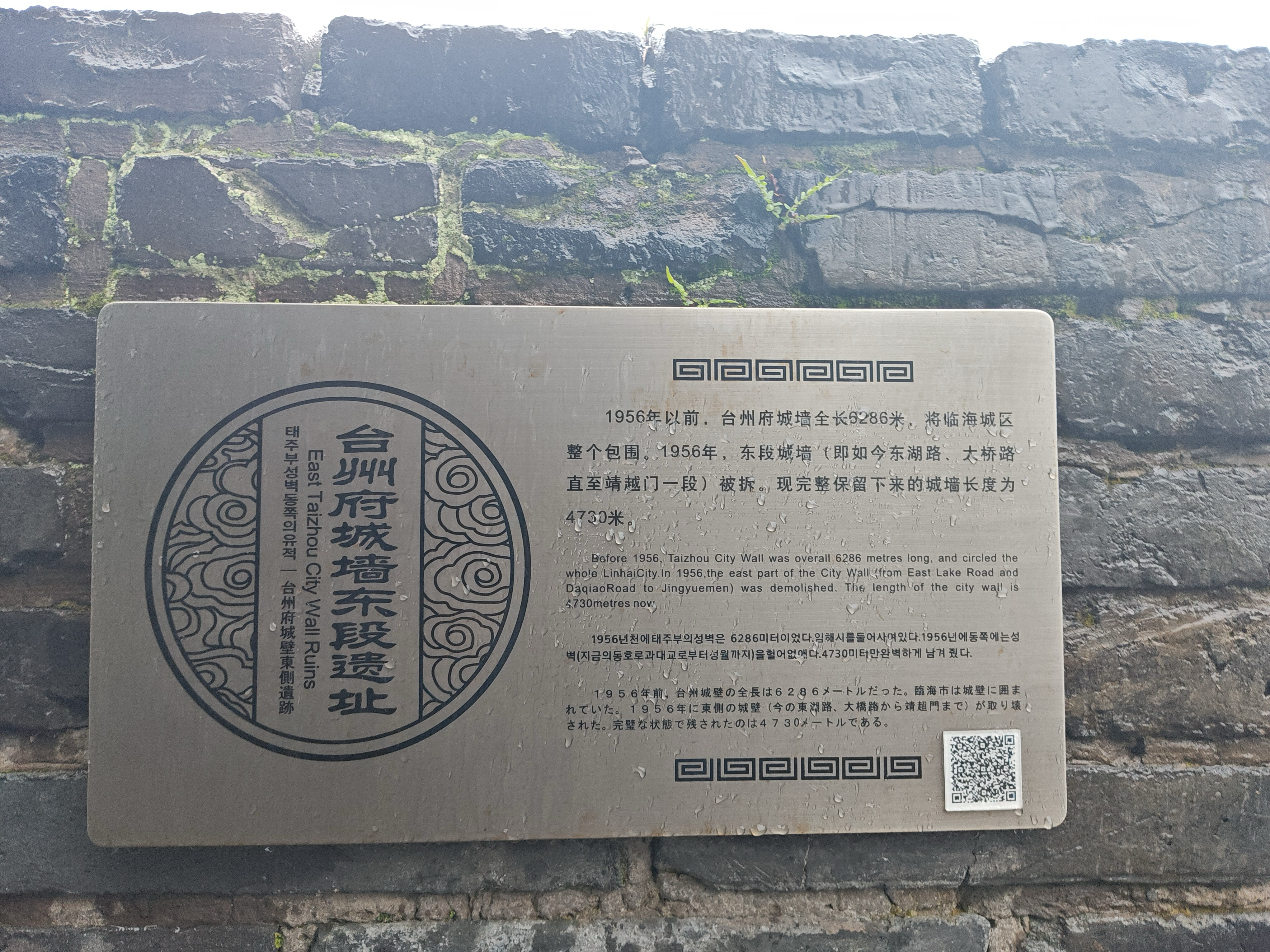 image-20250603224651291