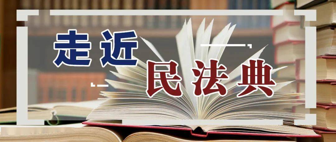 《中华人民共和国民法典》