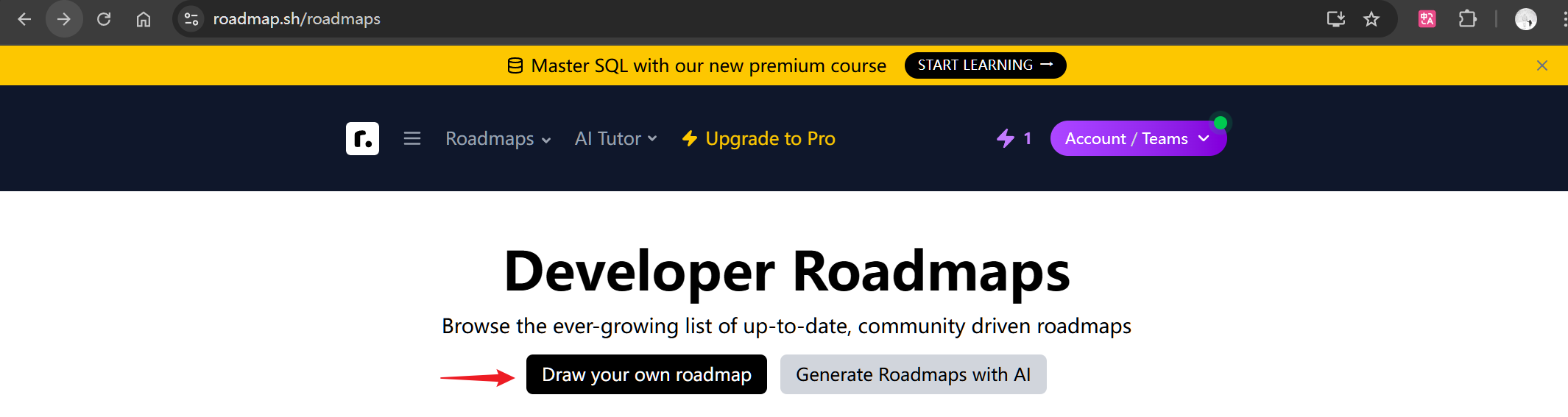 1️⃣ 点击 👉 Draw your own roadmap