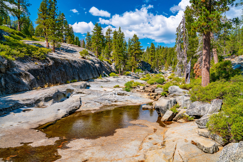 配图源自 Freepik