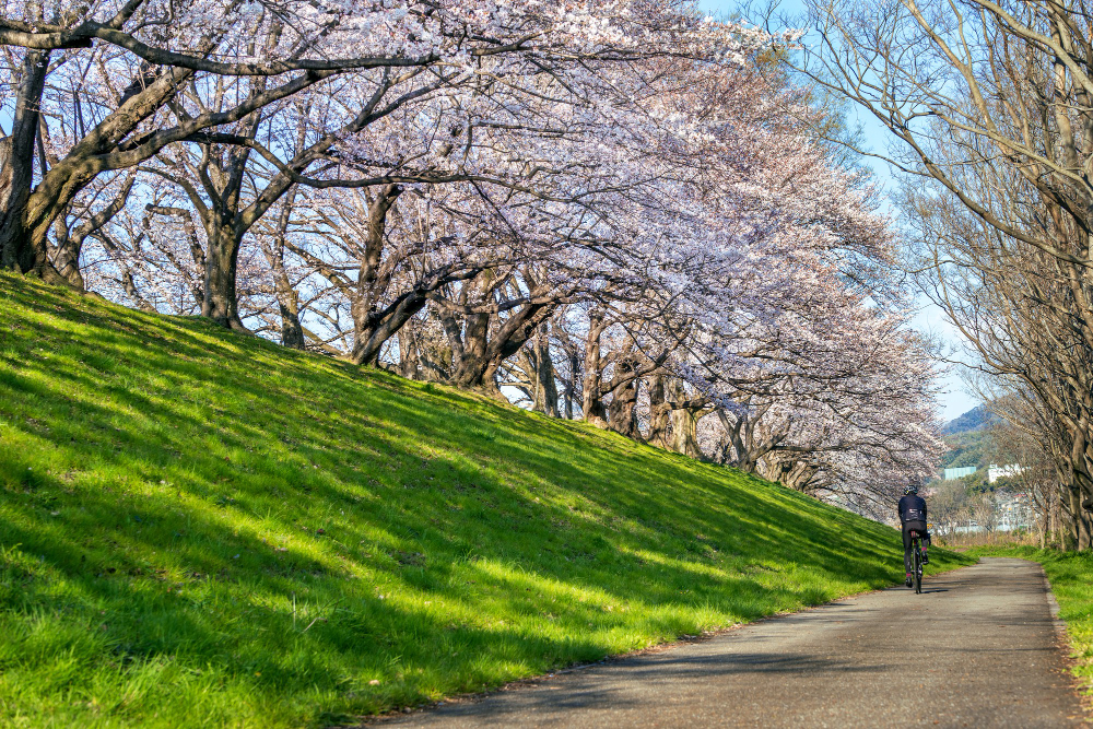 配图源自 Freepik