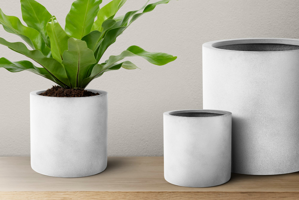 配图源自 Freepik